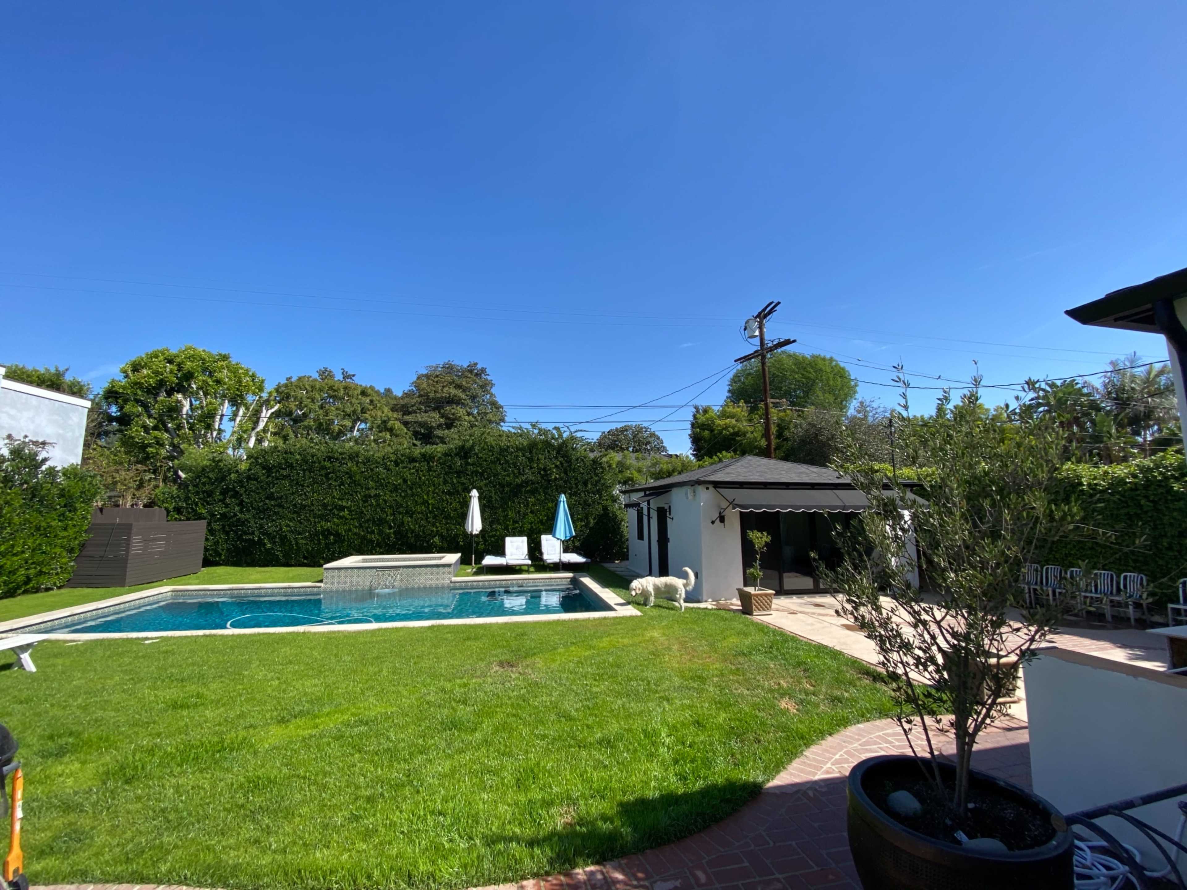A backyard with a swimming pool, sun loungers, a small building, and well-maintained grass surrounded by hedges.
