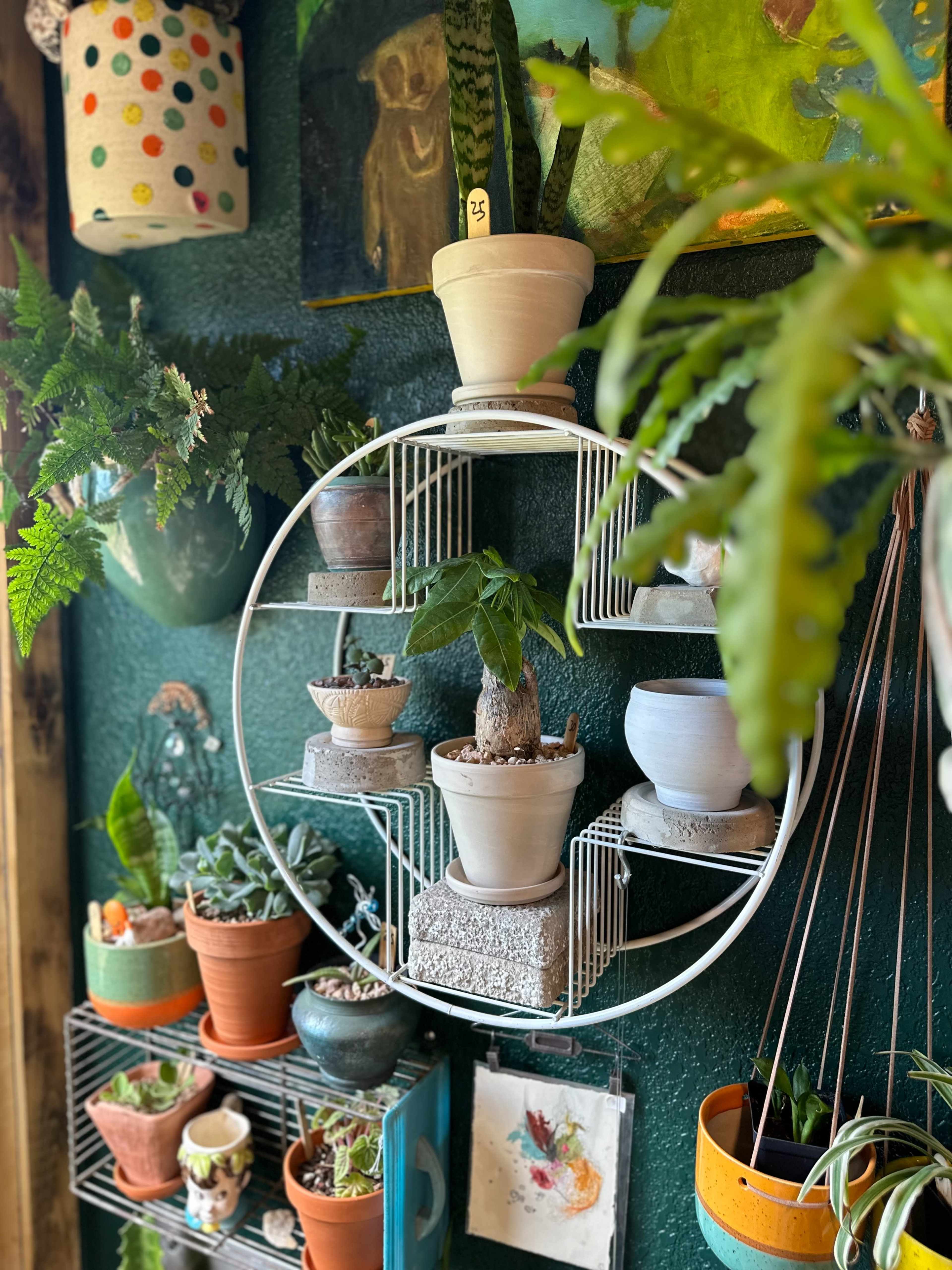 Unique Local Coffeeshop, Event Space Image in Eiber, Lakewood, CO