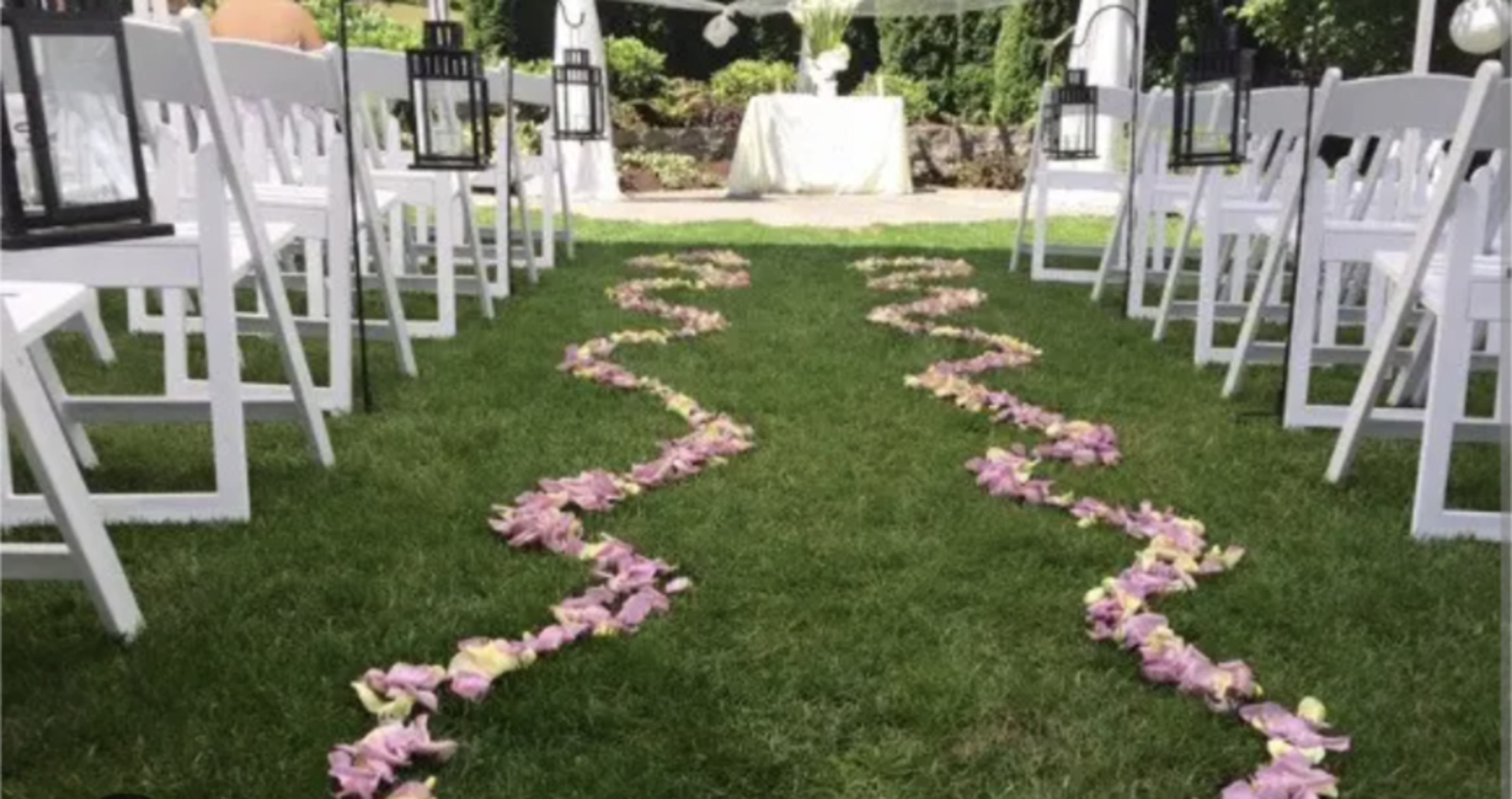 The image shows an outdoor wedding setup with white chairs arranged in rows and a path of flower petals leading to a decorated altar.