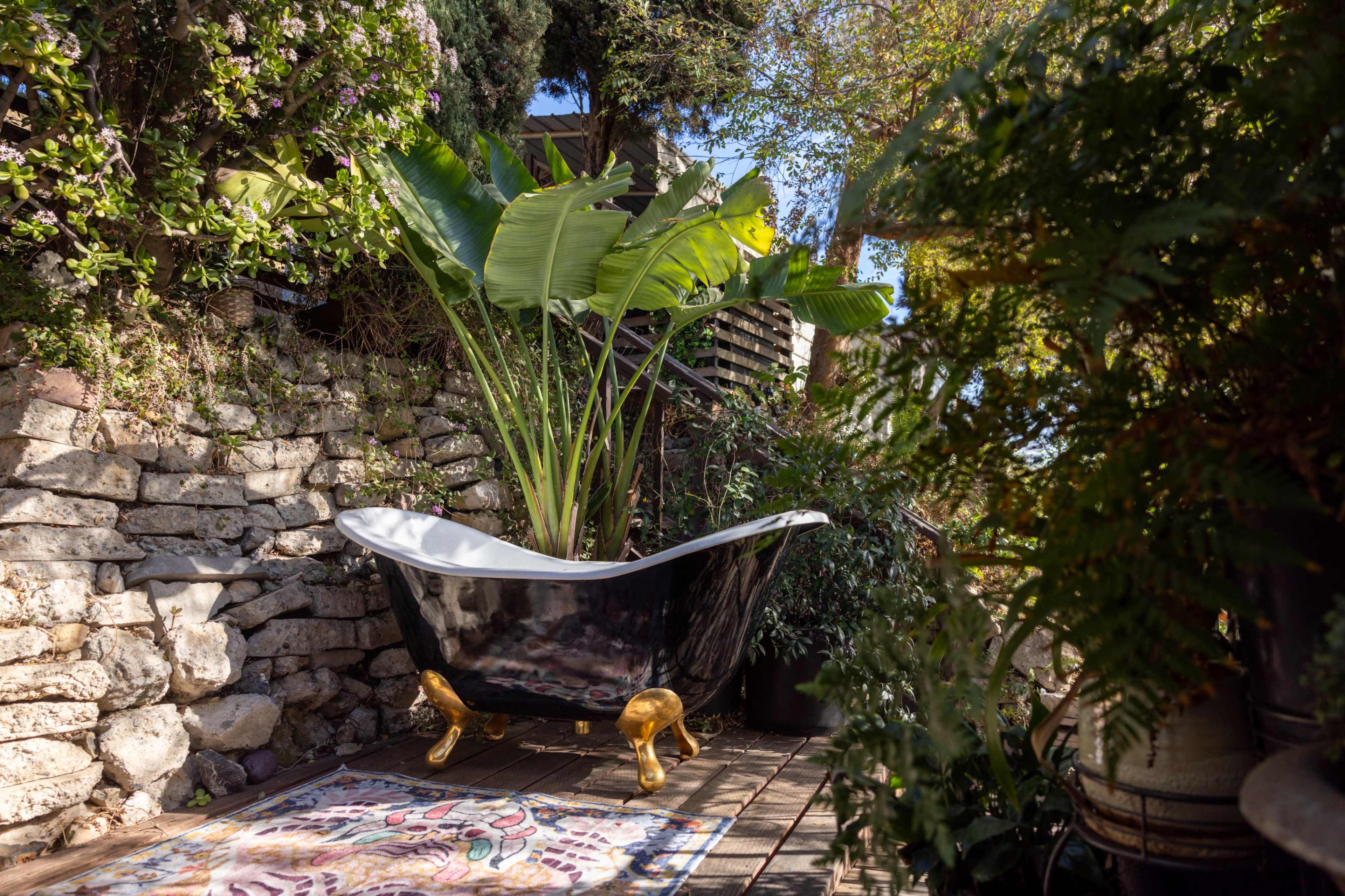 A black clawfoot bathtub filled with a large tropical plant sits on a wooden deck surrounded by greenery and stone walls.