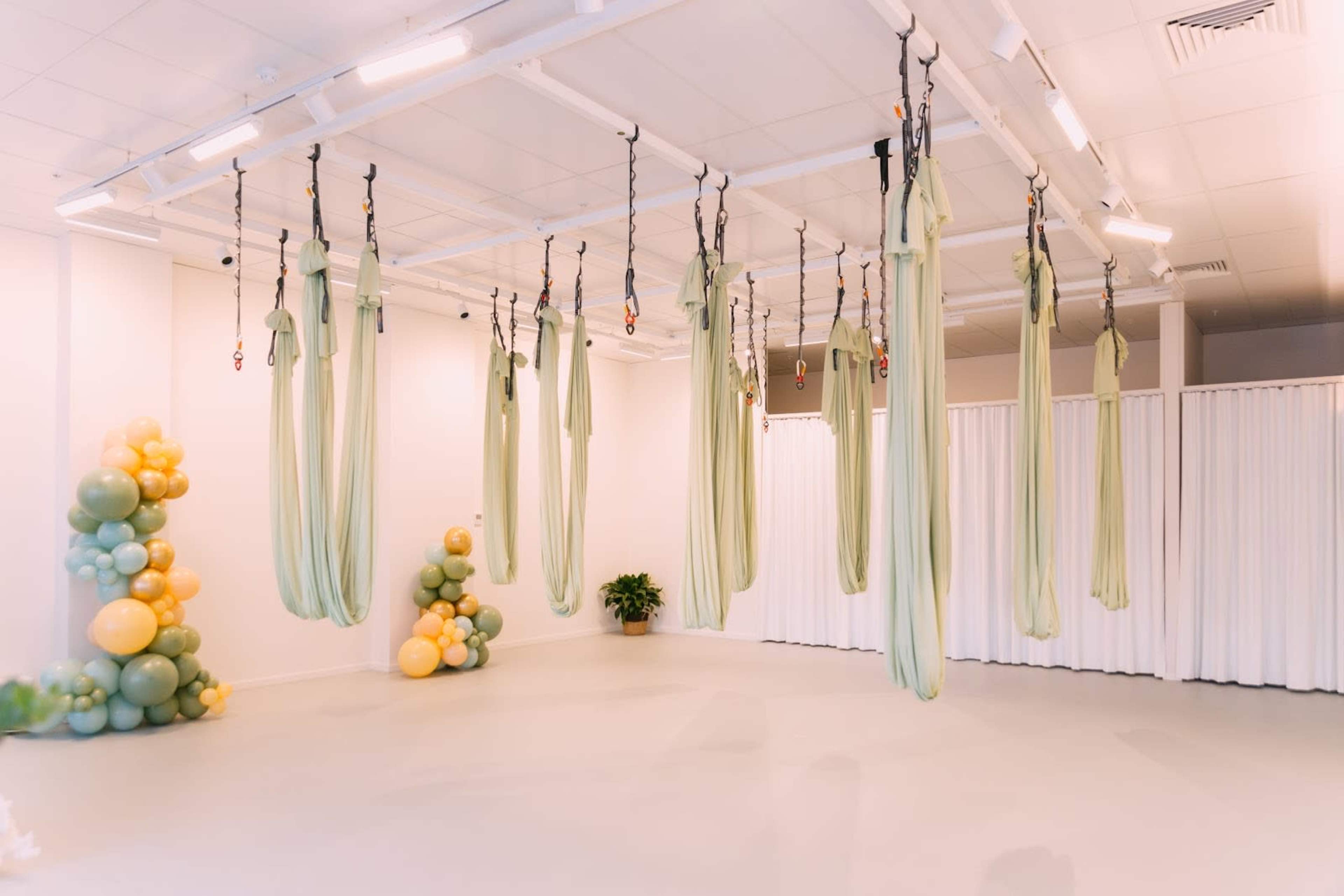 The image shows an indoor space with suspended aerial silks hanging from the ceiling, complemented by a decorative cluster of green and yellow balloons in one corner.