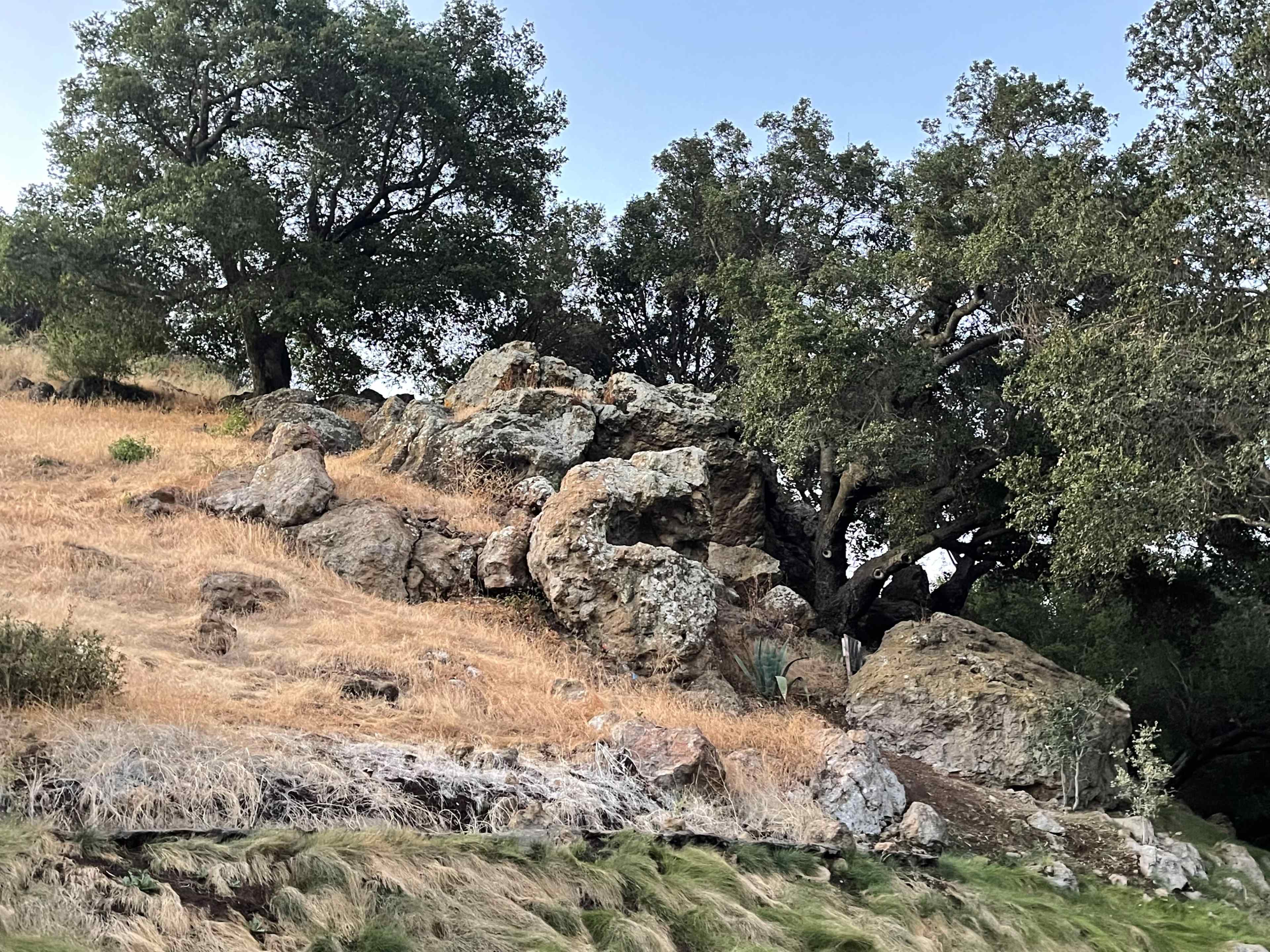 A hillside with large boulders and sparse vegetation under a clear sky.