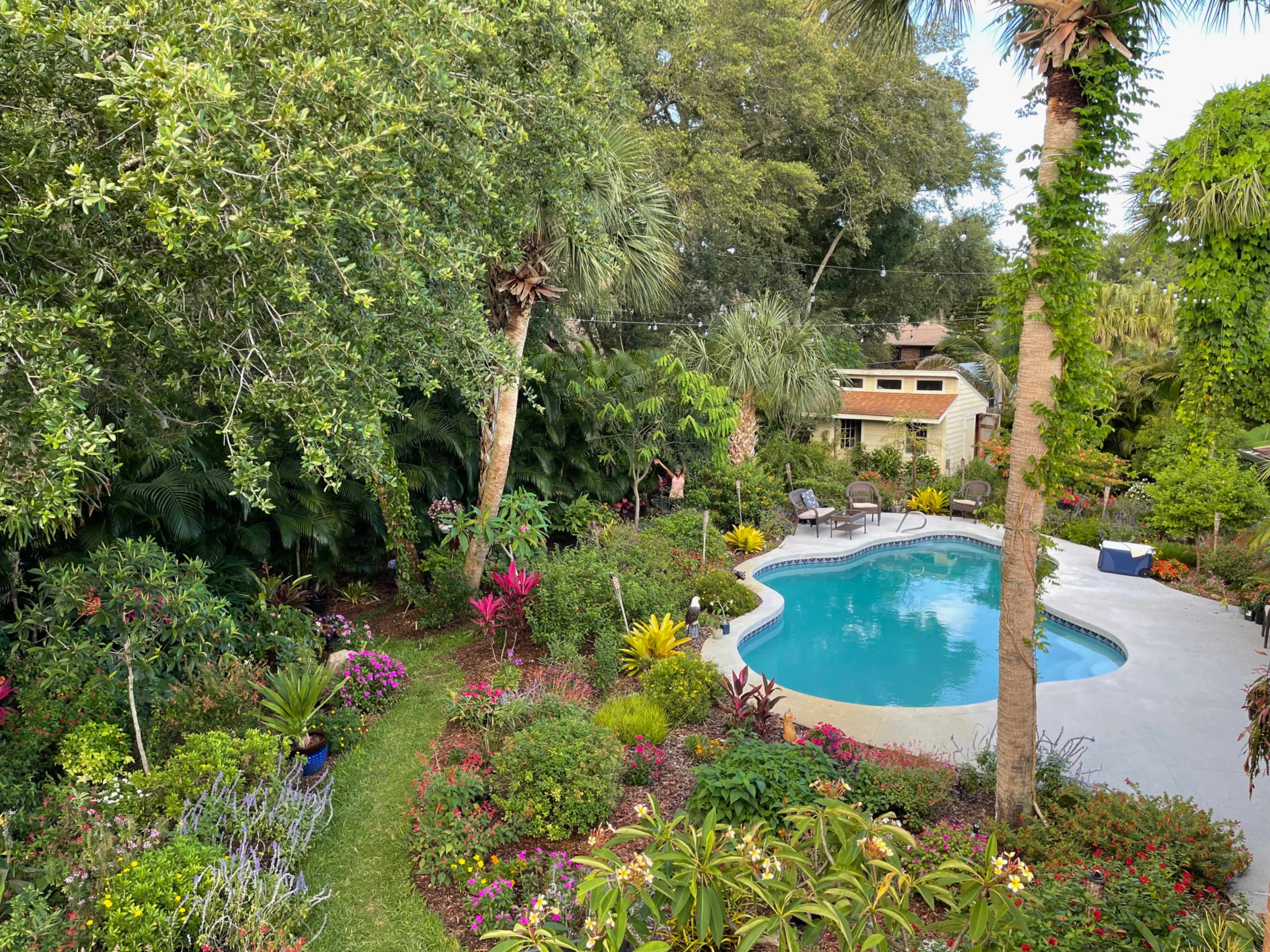 Tropical Butterfly Garden and Pool Image in Palm Bay, Palm Bay, FL