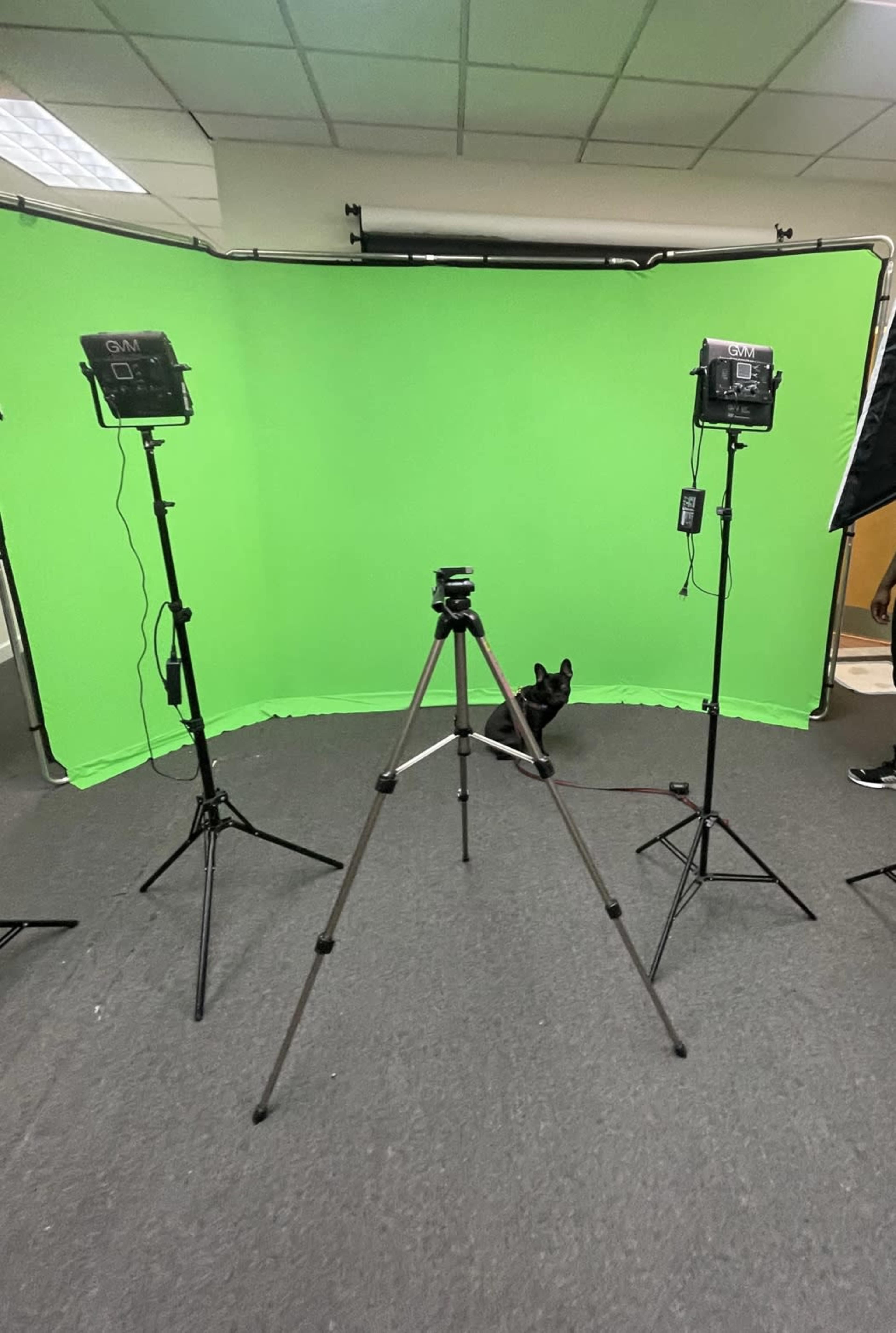 The image shows a photography setup featuring a green screen backdrop, two lights on stands, and a tripod, with a black dog sitting in the background.