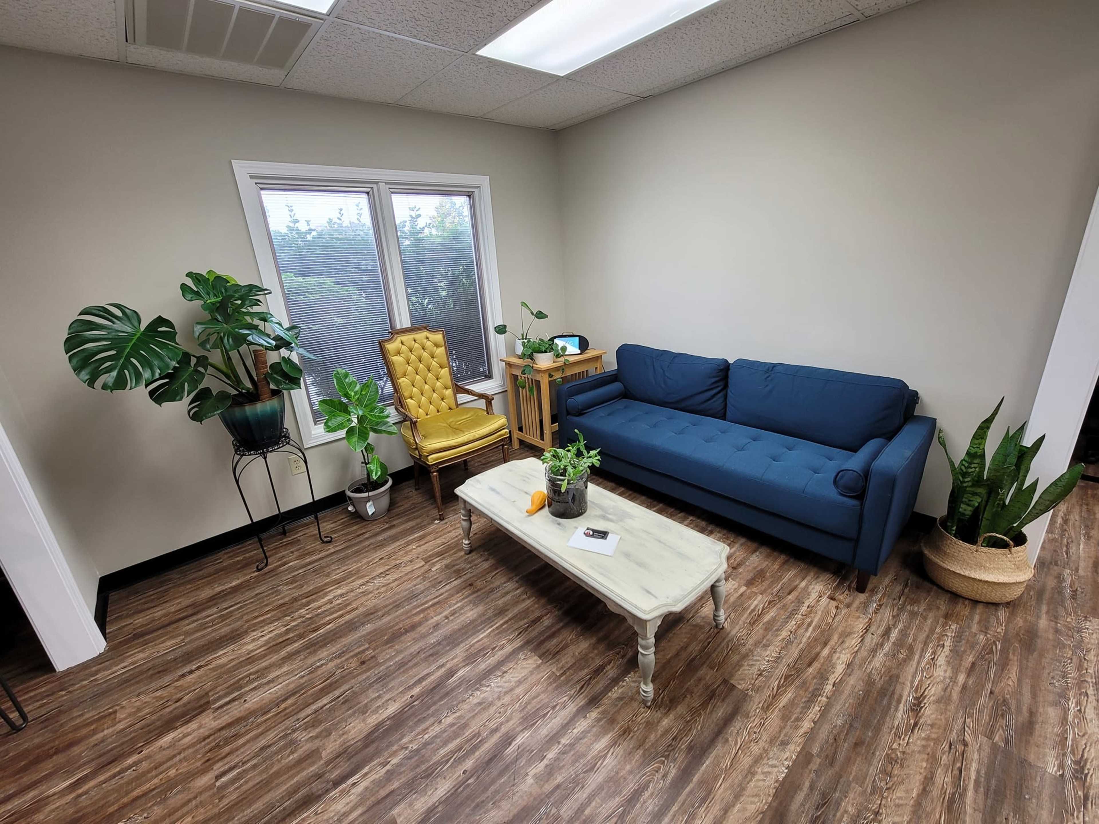 A cozy, light-filled room with a blue couch, a yellow armchair, a coffee table, and various indoor plants.