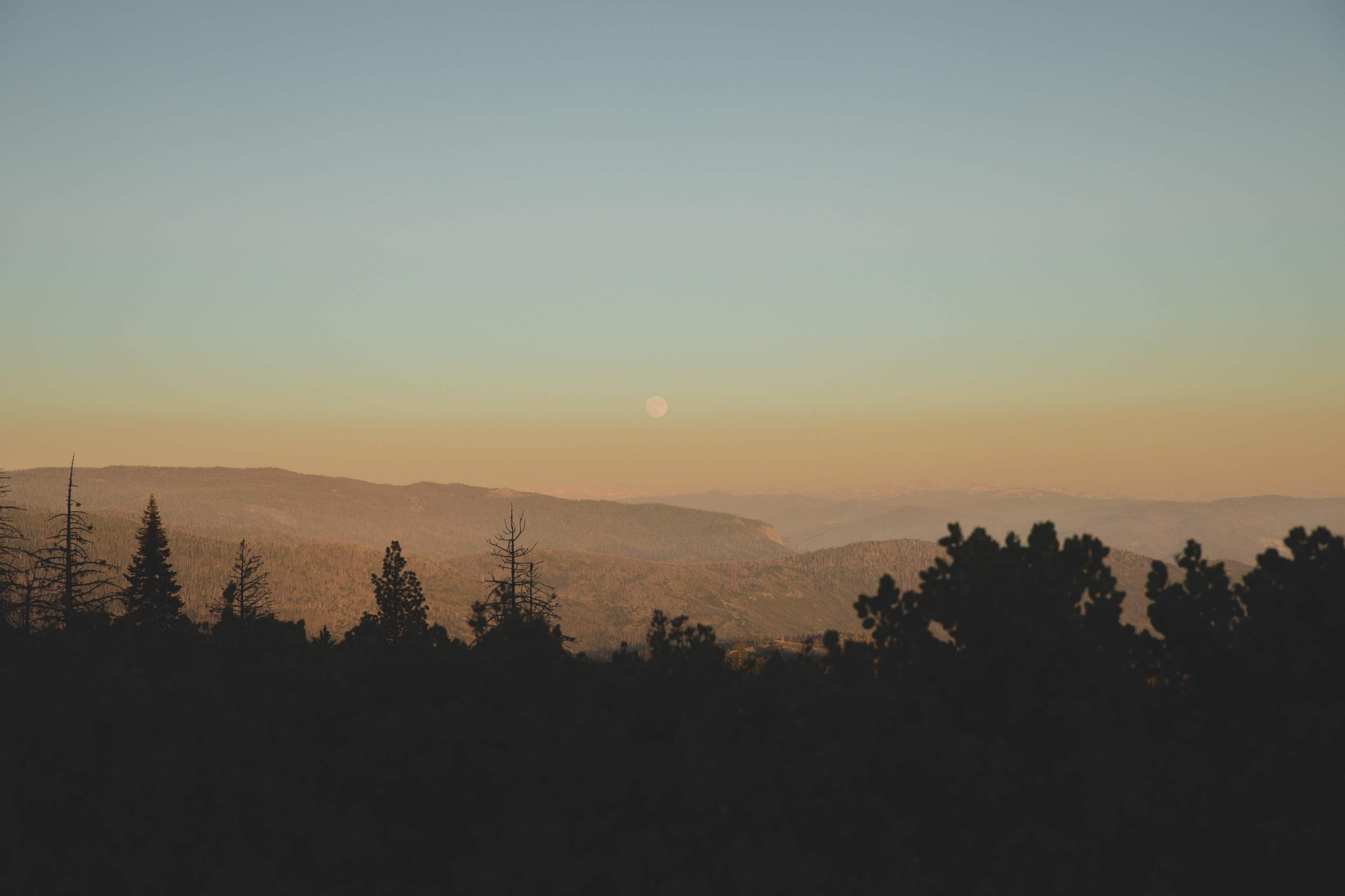 A full moon rises over a range of mountains at dusk, framed by silhouettes of trees in the foreground.