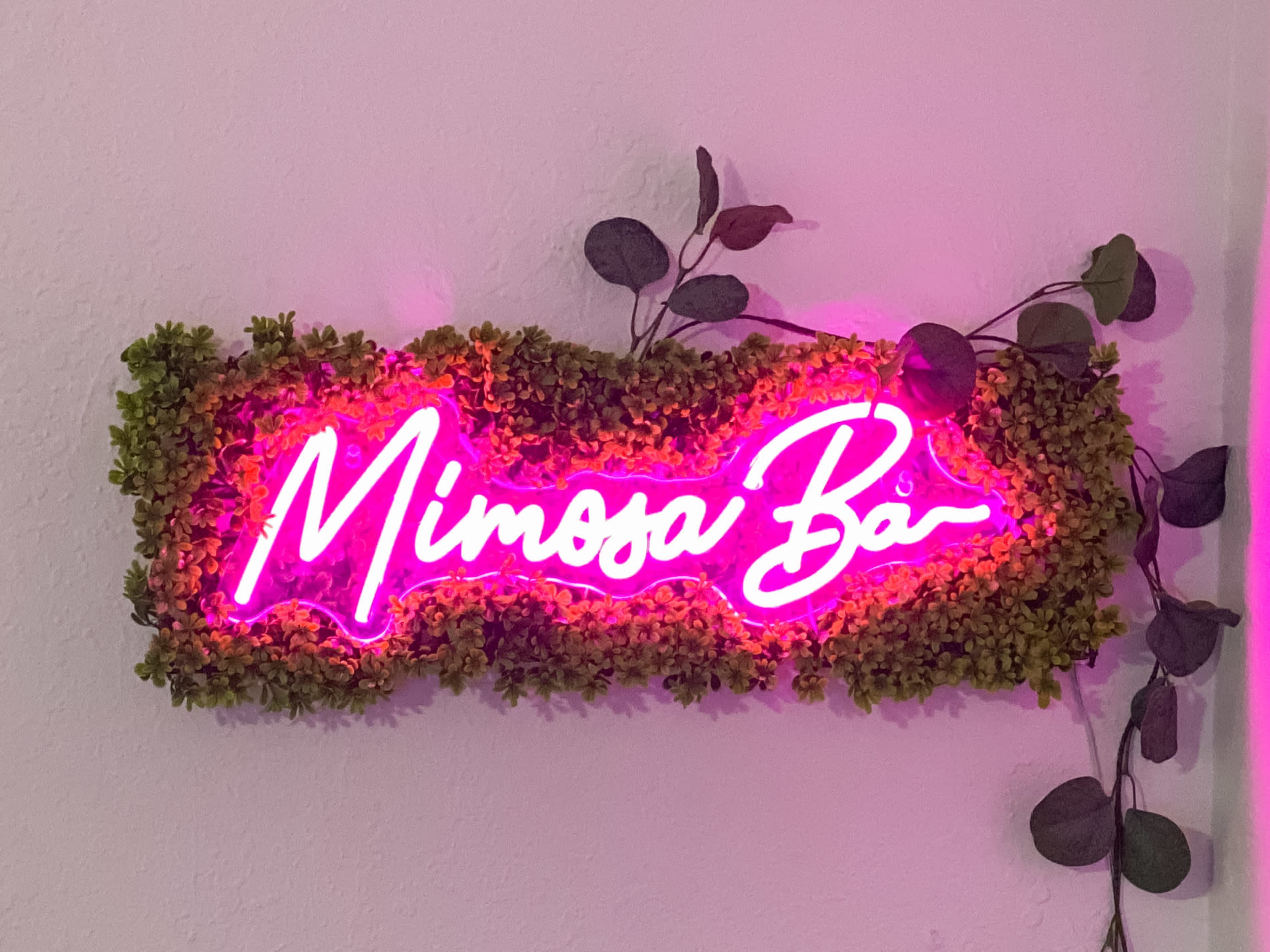 A neon pink sign reading "Mimosa Bar" is mounted on a wall adorned with green foliage.