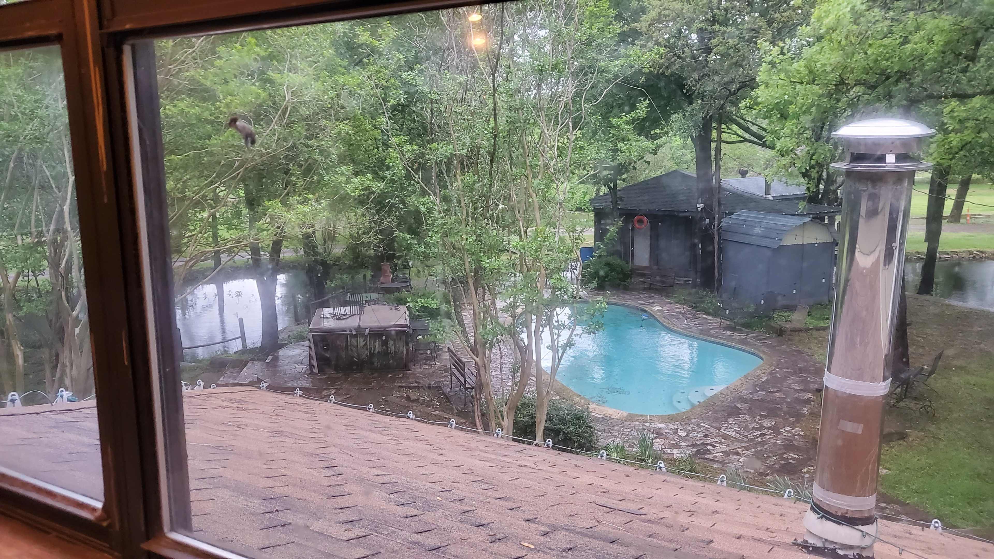 A view from a window overlooking a backyard with a pool, a wooden deck, and a nearby structure, all surrounded by trees and a pond.