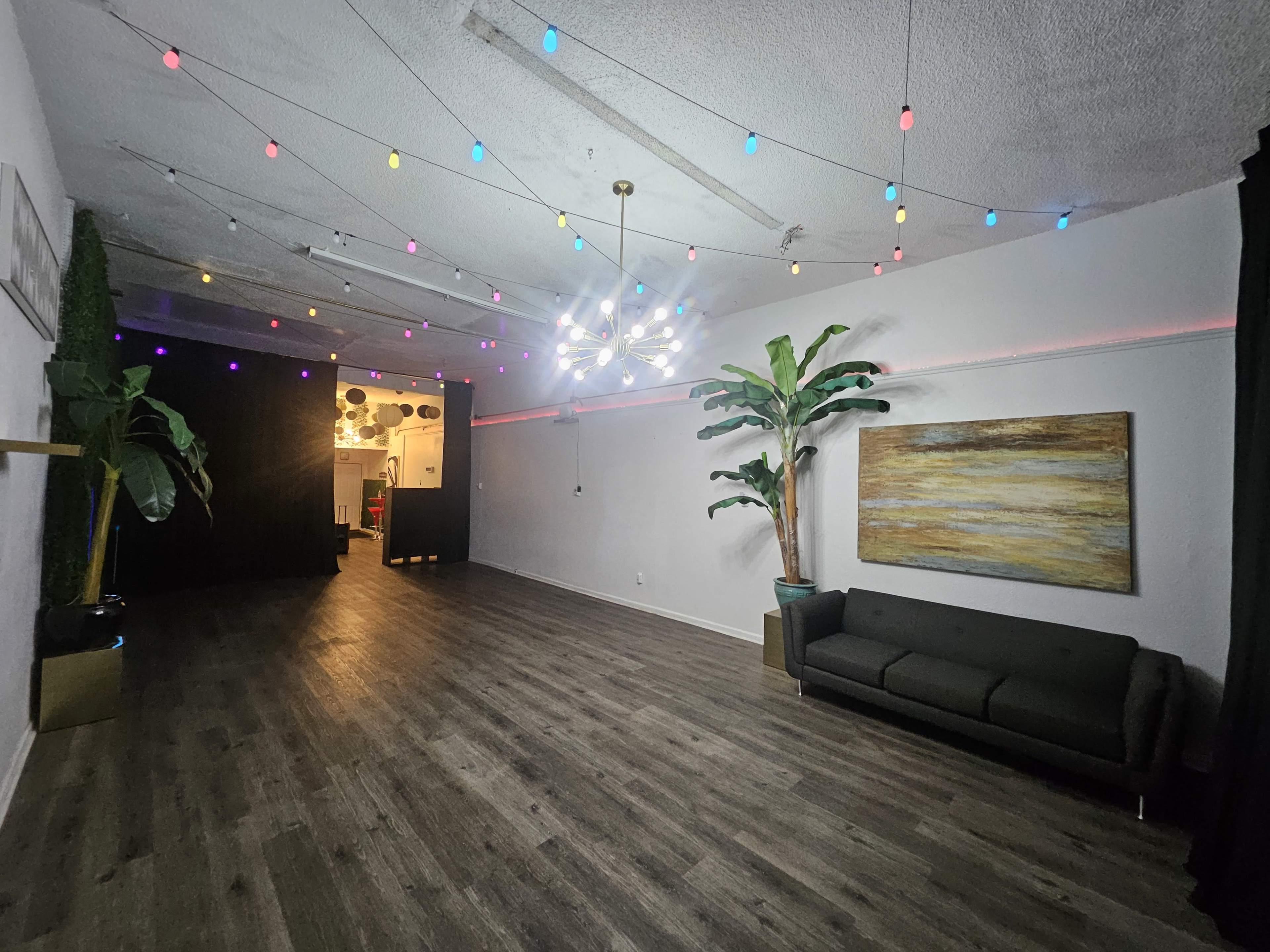 The image depicts a spacious room with wooden flooring, colorful string lights hanging from the ceiling, a large plant in one corner, and a modern couch against the wall.