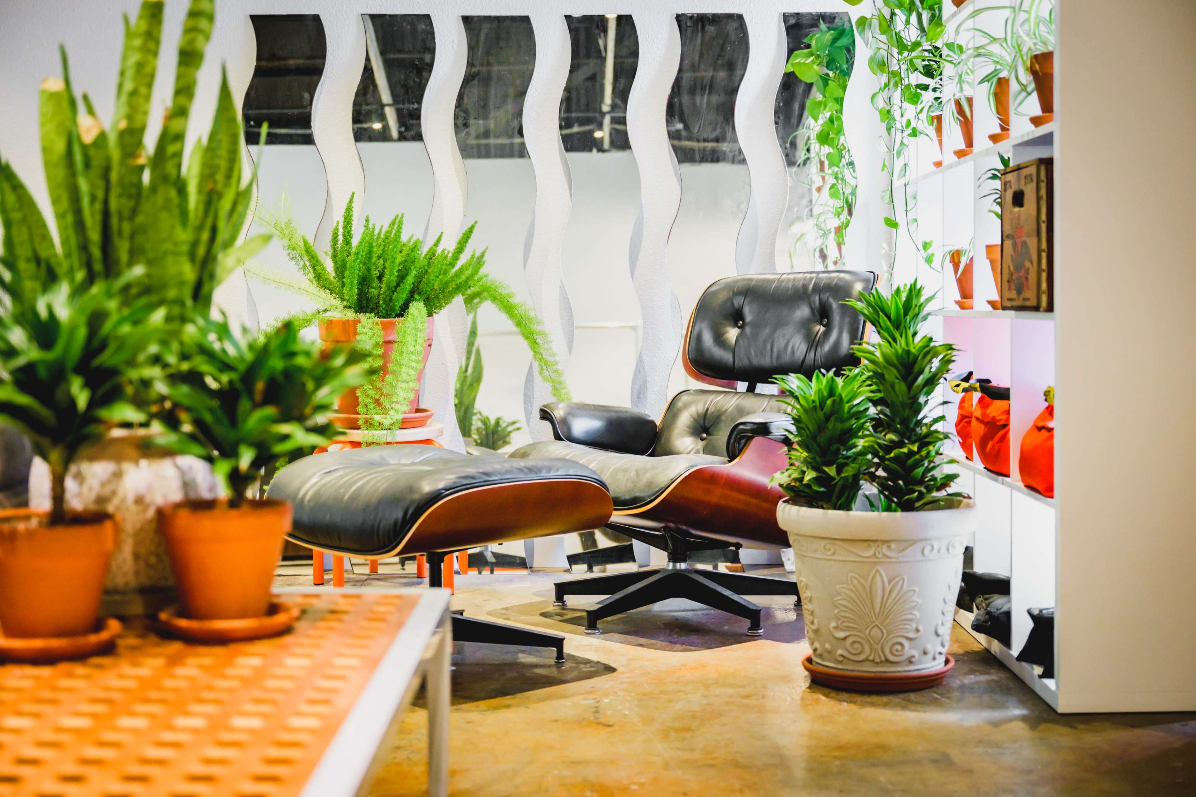 Creative Event & Photo Studio in Barrio Logan | Cyclorama Wall + Lounge + Natural Light Image in Barrio Logan, San Diego, CA