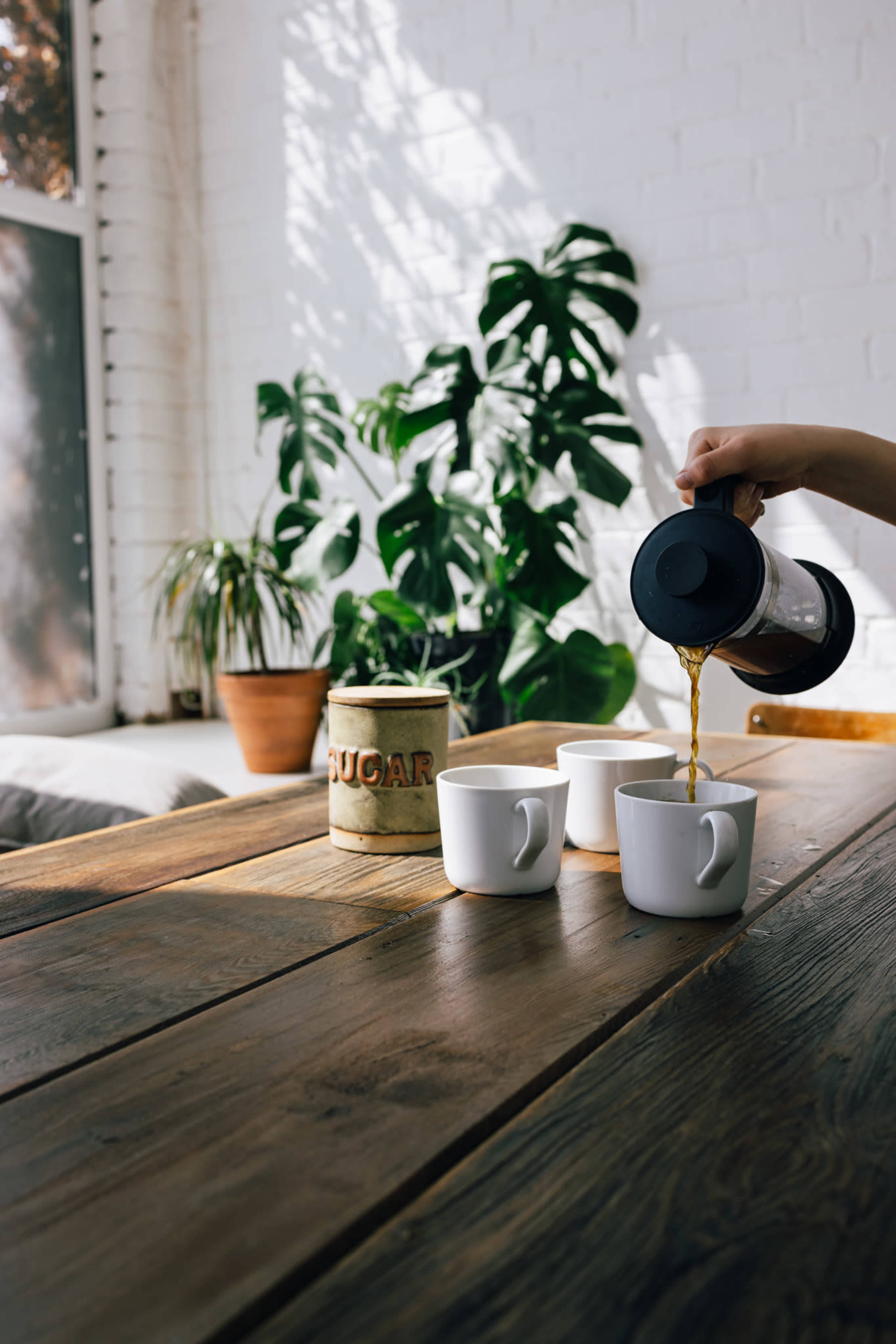 A person pours coffee from a French press into three white mugs on a wooden table in a brightly lit room with potted plants.