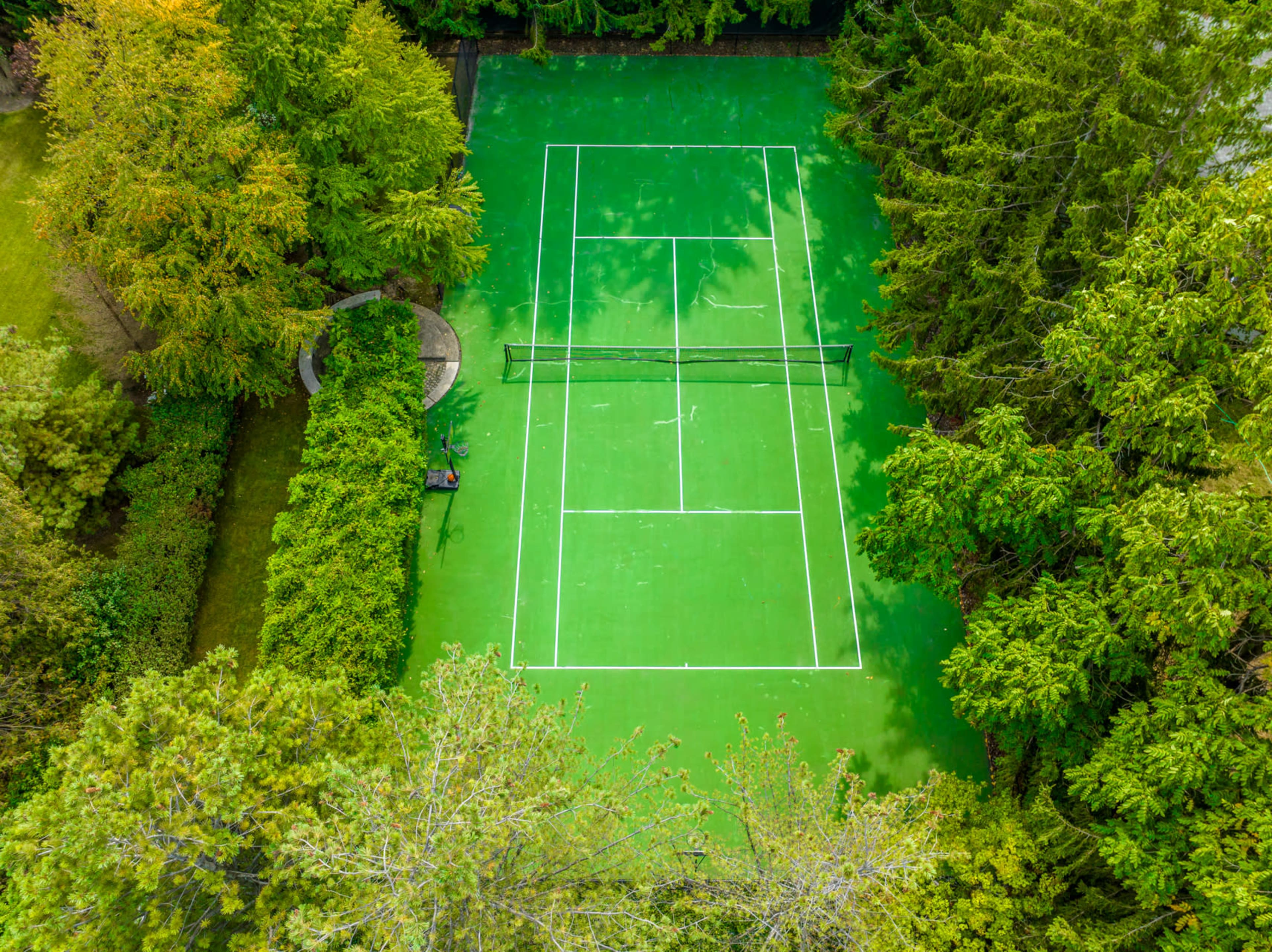 An aerial view shows a green tennis court surrounded by dense trees and shrubs.
