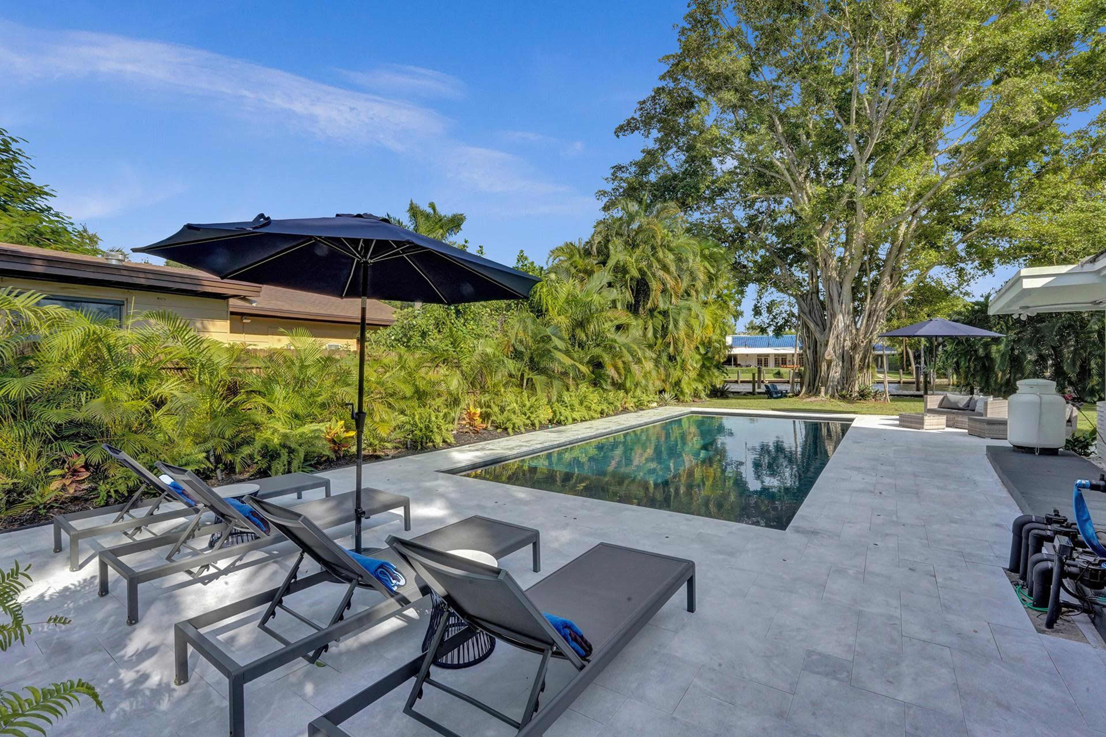 A modern backyard featuring a rectangular swimming pool surrounded by lounge chairs and tropical plants.