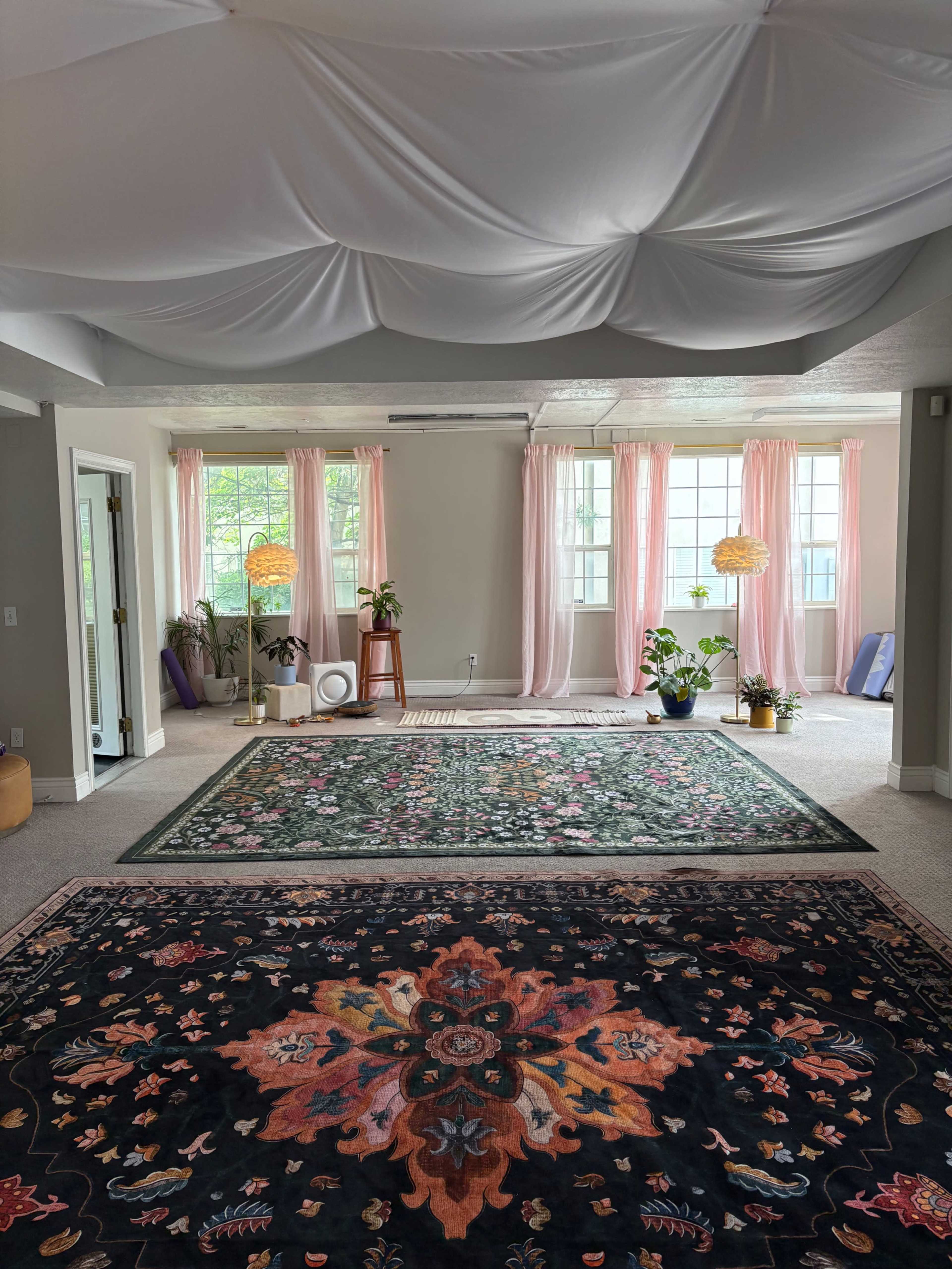 The image shows a spacious, well-lit room with large windows, pastel curtains, and two patterned rugs on a carpeted floor surrounded by potted plants.