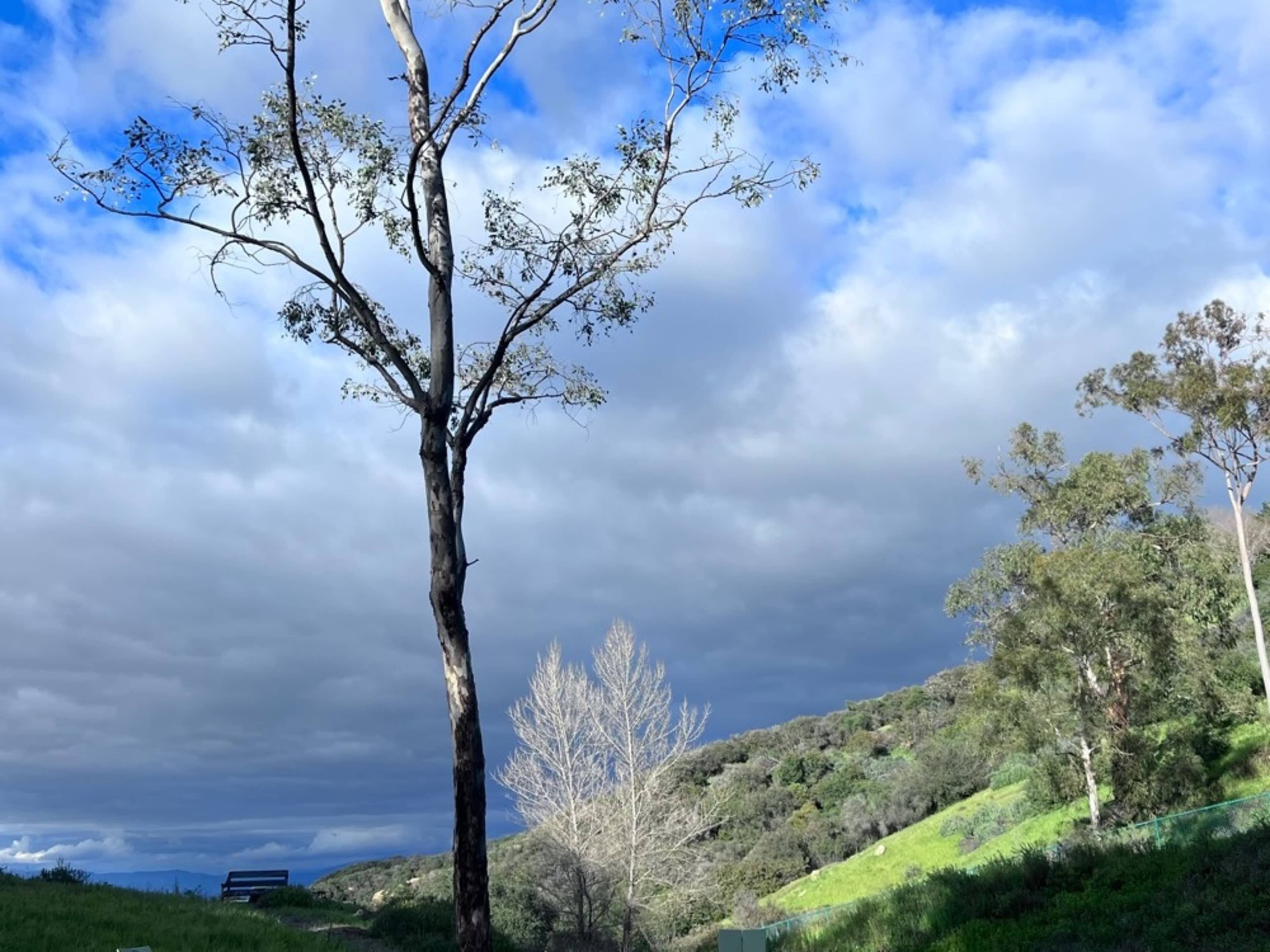 Garden with Valley View