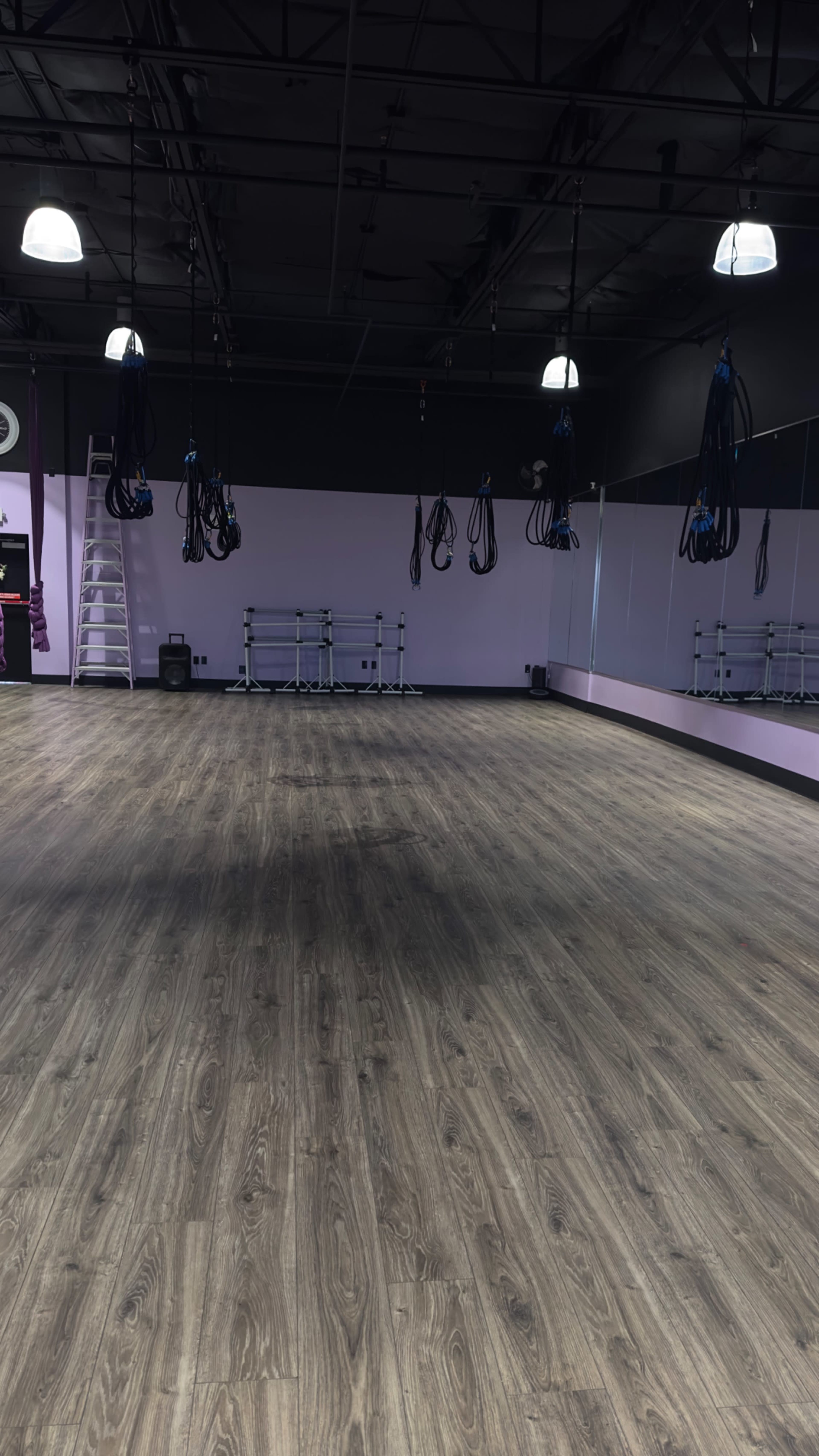 A spacious fitness studio with wooden flooring, purple walls, hanging equipment, and a ladder against one wall.