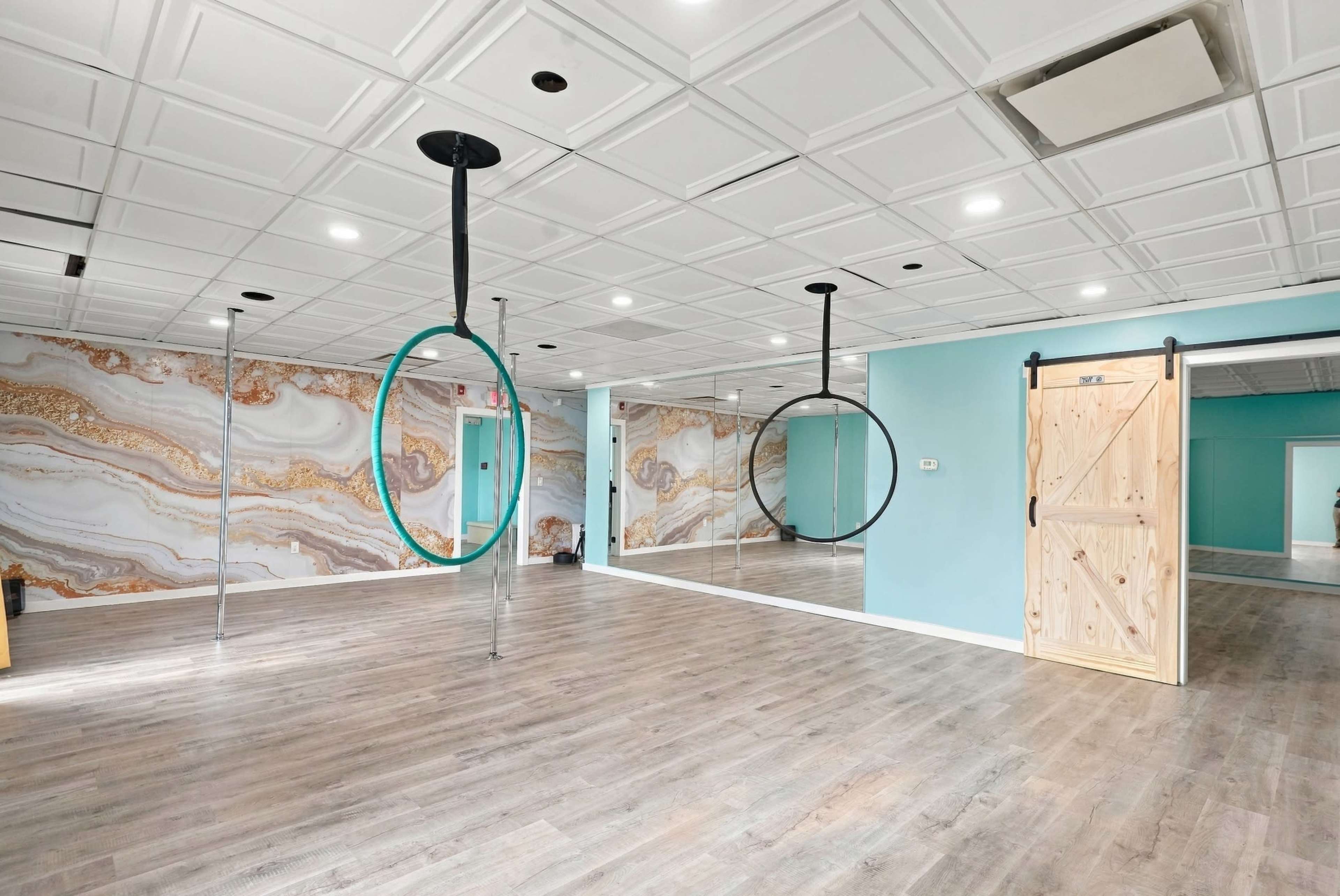 The image shows a spacious, brightly lit room with a marbled feature wall, two aerial hoops suspended from the ceiling, and a wooden door leading to another area.