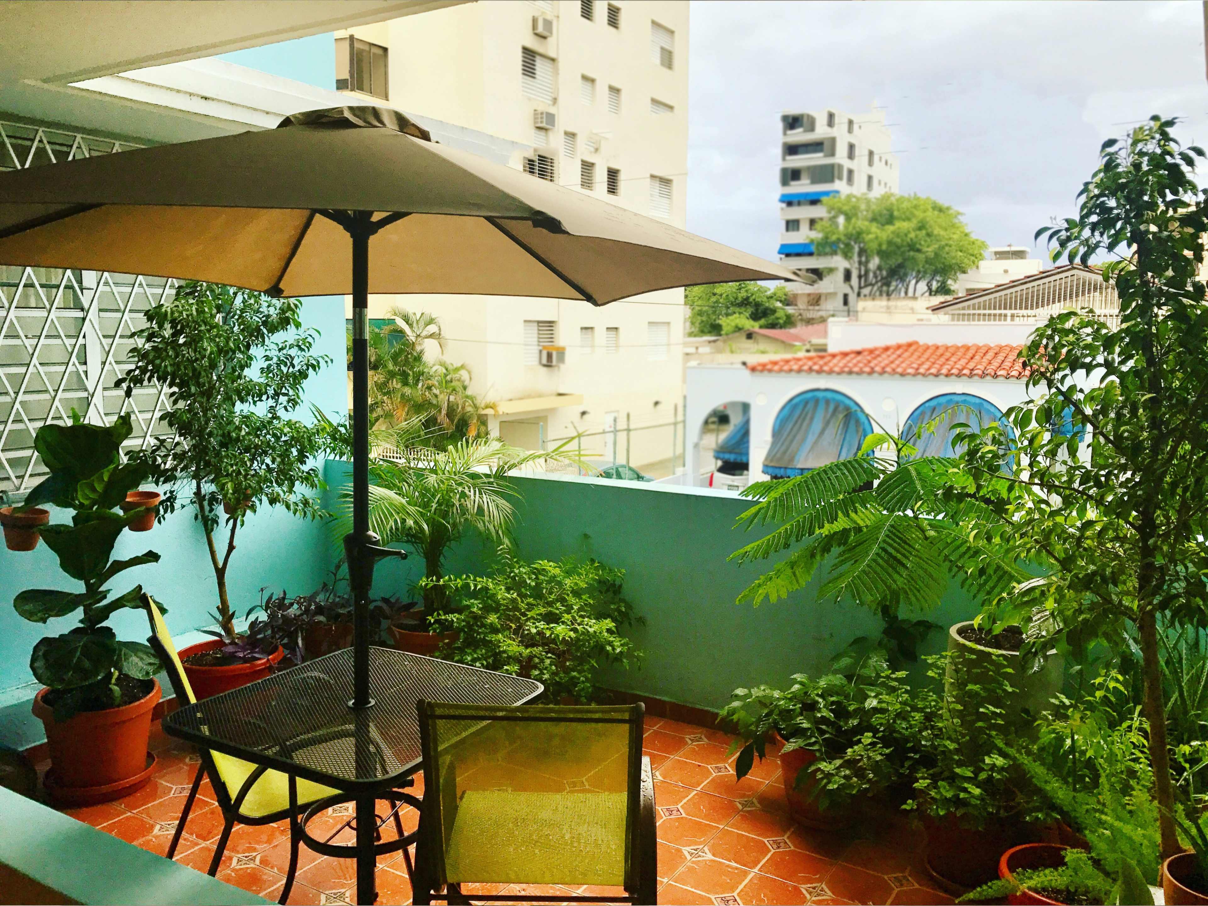 The image shows a balcony garden featuring a table and chairs under an umbrella, surrounded by various plants in pots.