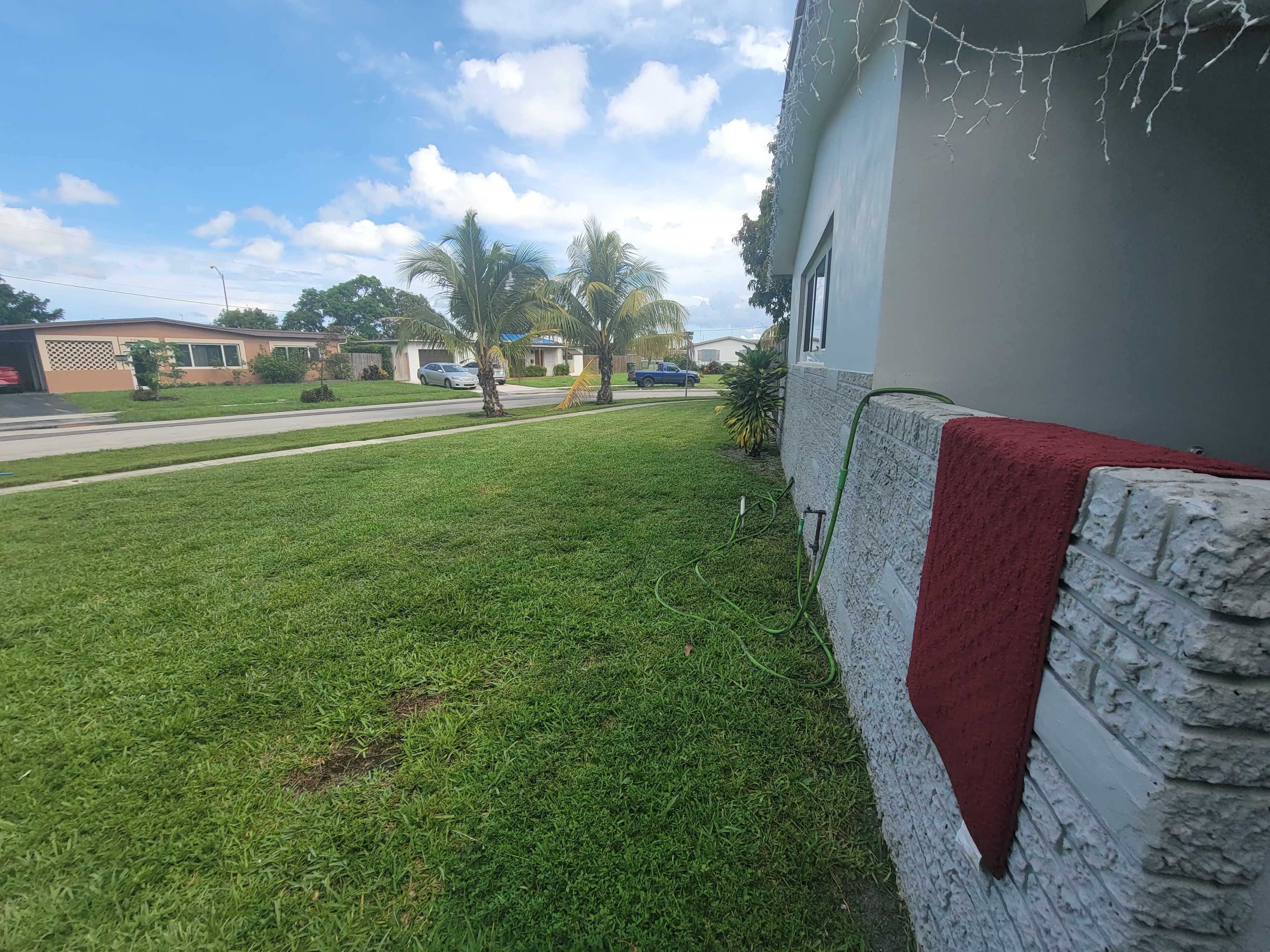 The image shows a green lawn in front of a house, with a garden hose hanging on the exterior wall and palm trees lining the street.