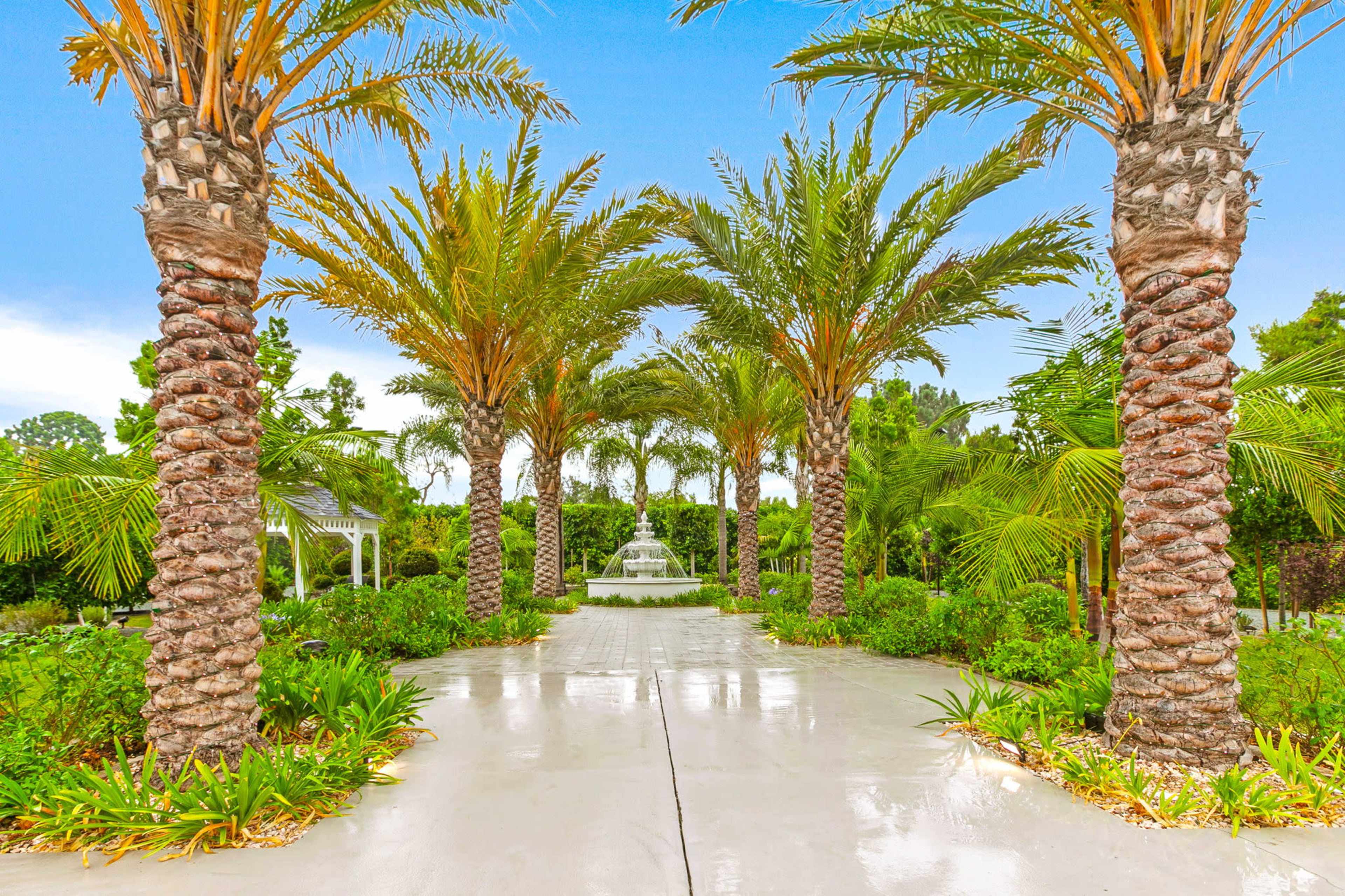 A pathway lined with palm trees leads to a fountain surrounded by lush greenery.