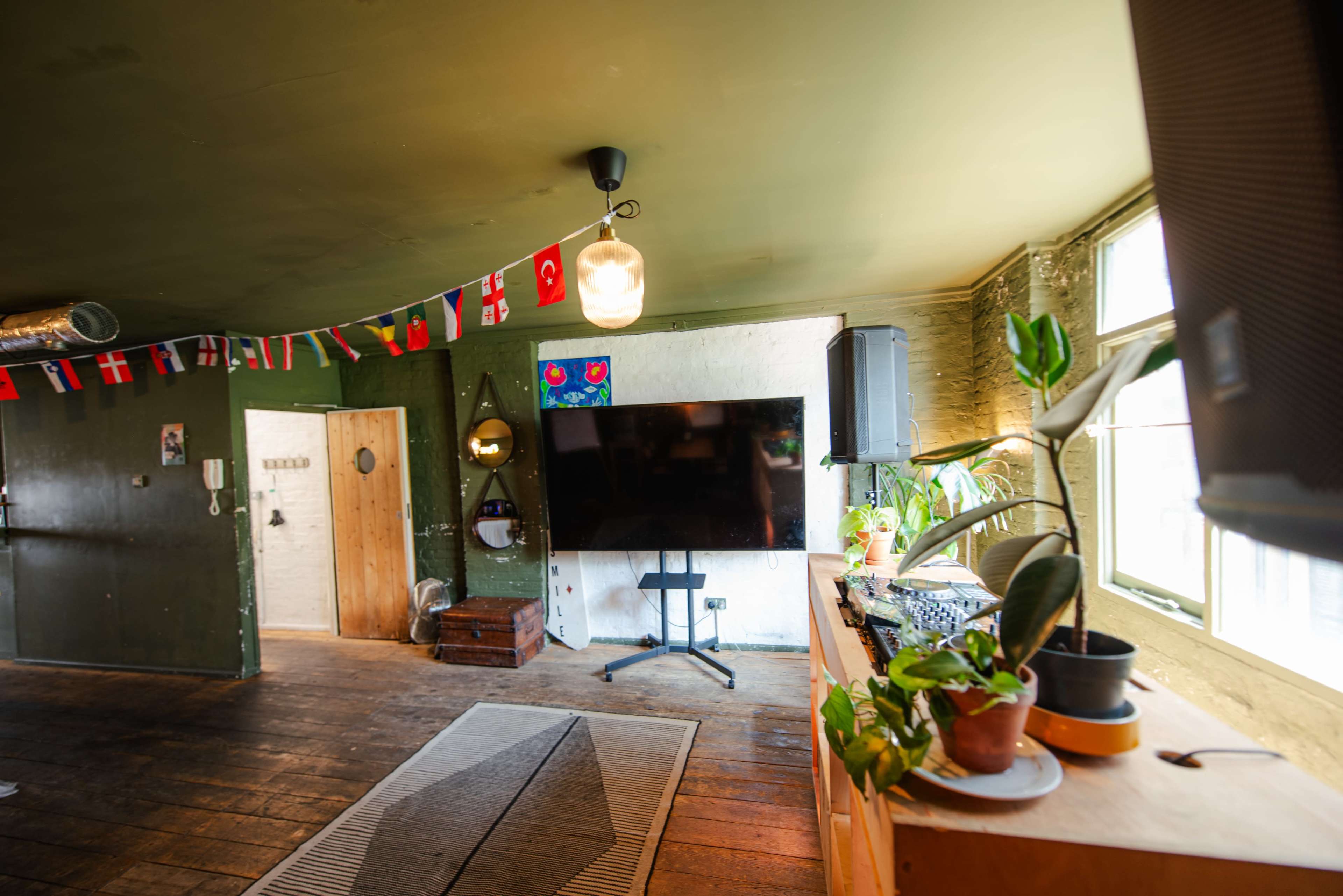 The interior of a room features a large television screen on a stand, surrounded by plants and decorated with flags from various countries.