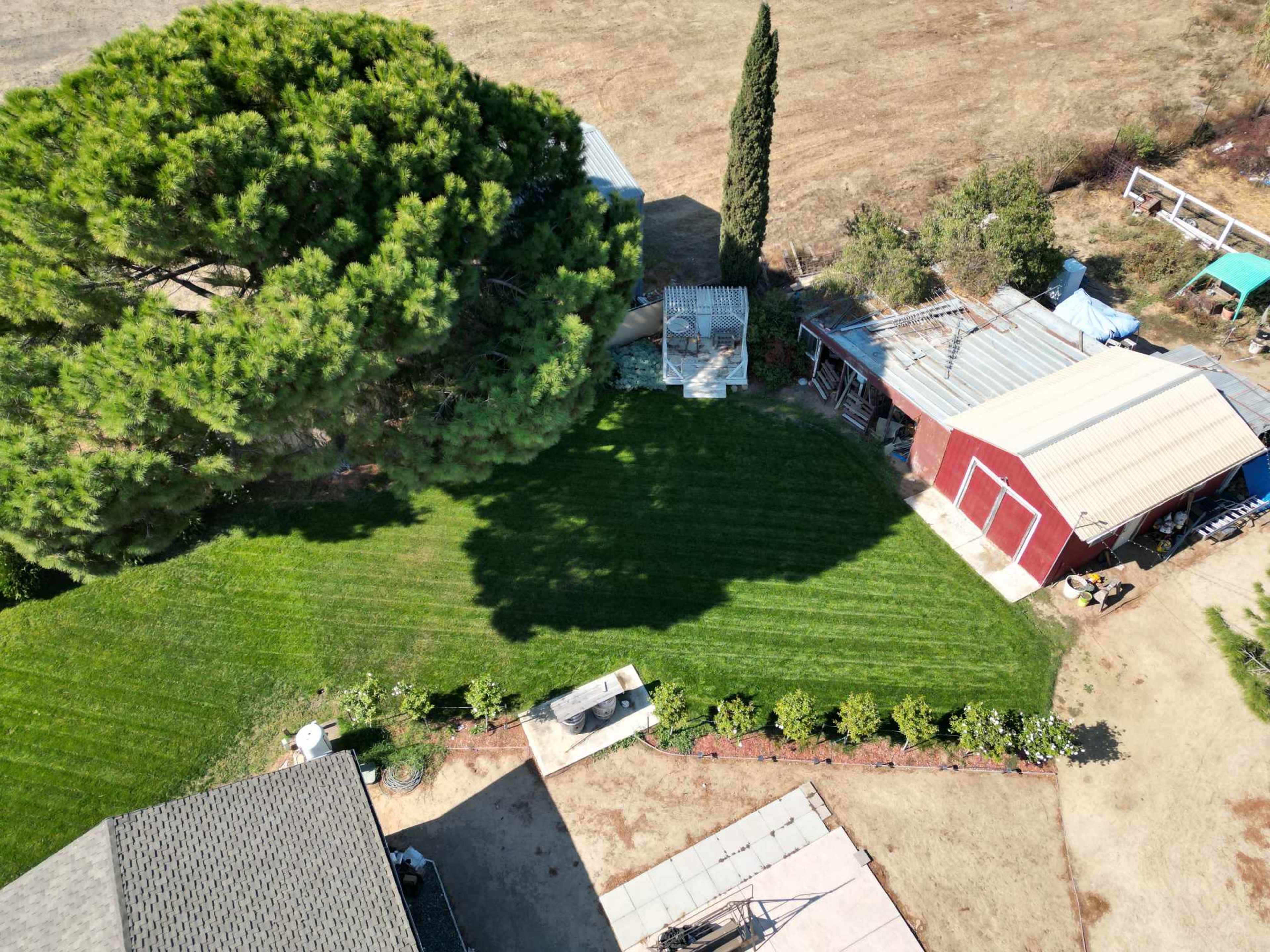 An aerial view of a well-maintained yard featuring a large tree, a small shed, and a red barn, with mowed grass and dirt paths.