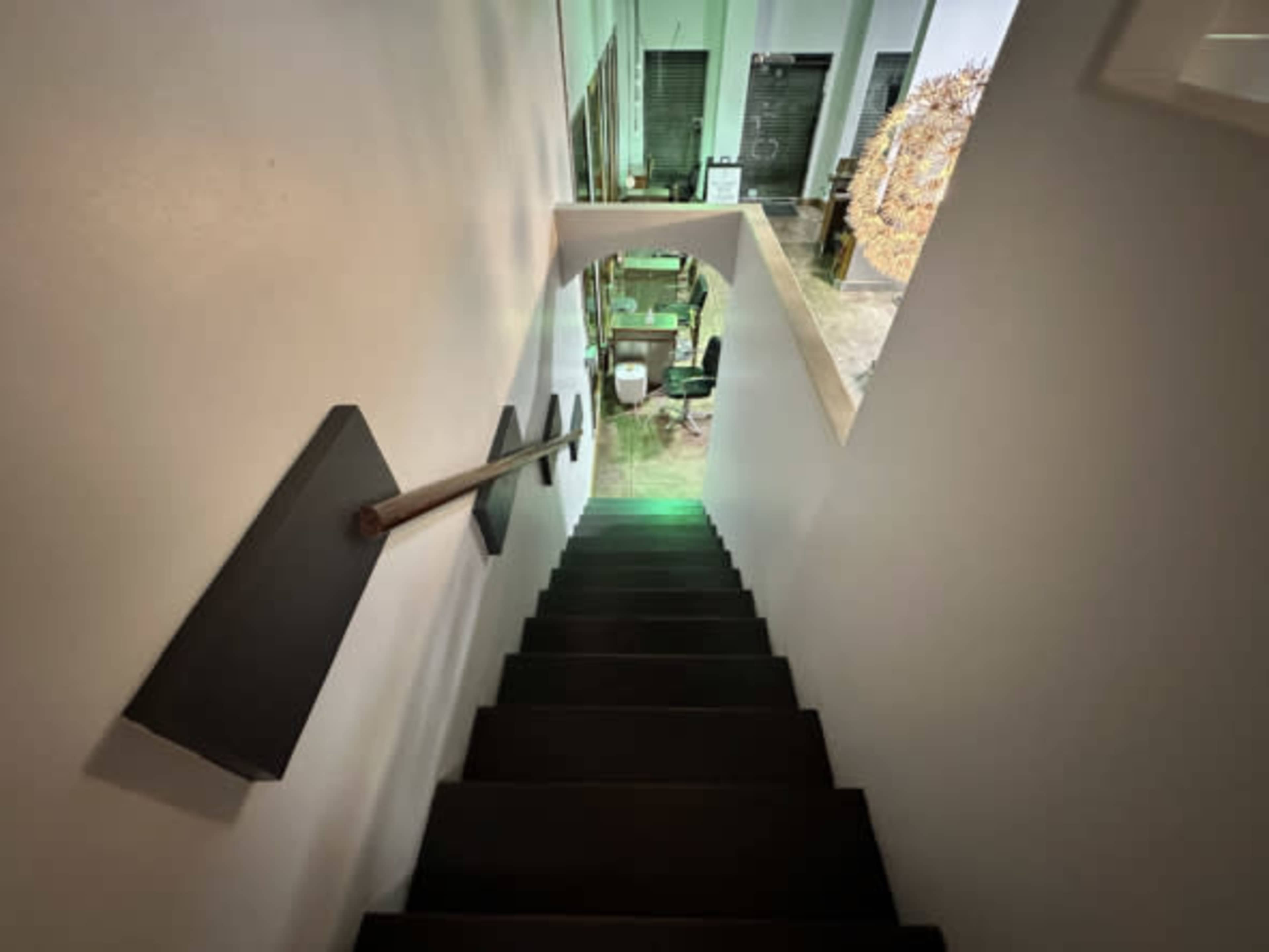 The image shows a staircase leading downwards, with black steps and a railing, leading to a room filled with furniture and decorations.