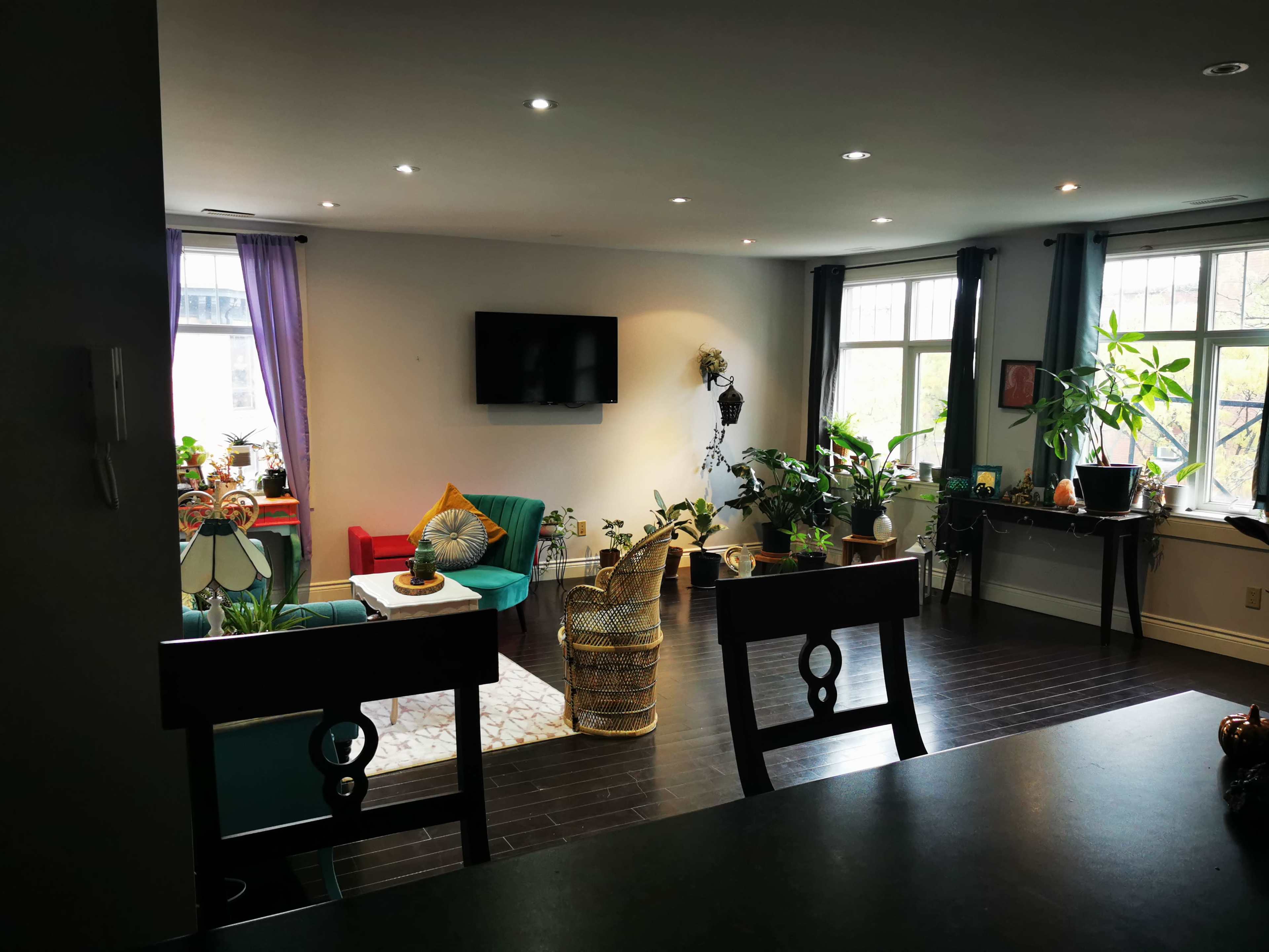 The image shows a spacious living room with a television mounted on the wall, several potted plants, and colorful furniture arranged around a central area rug.