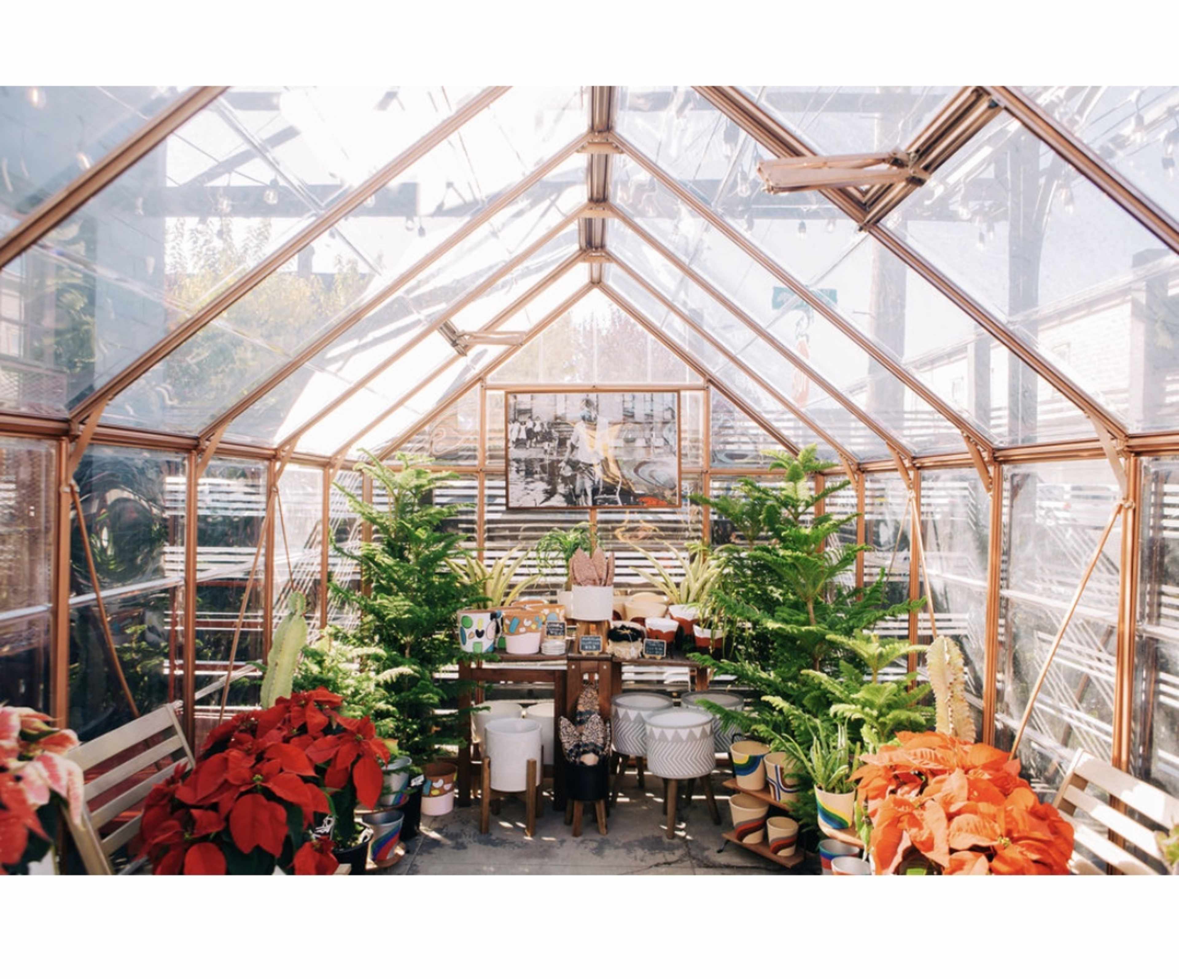 A bright greenhouse filled with potted plants, a table with various decorations, and a large framed photo on the wall.