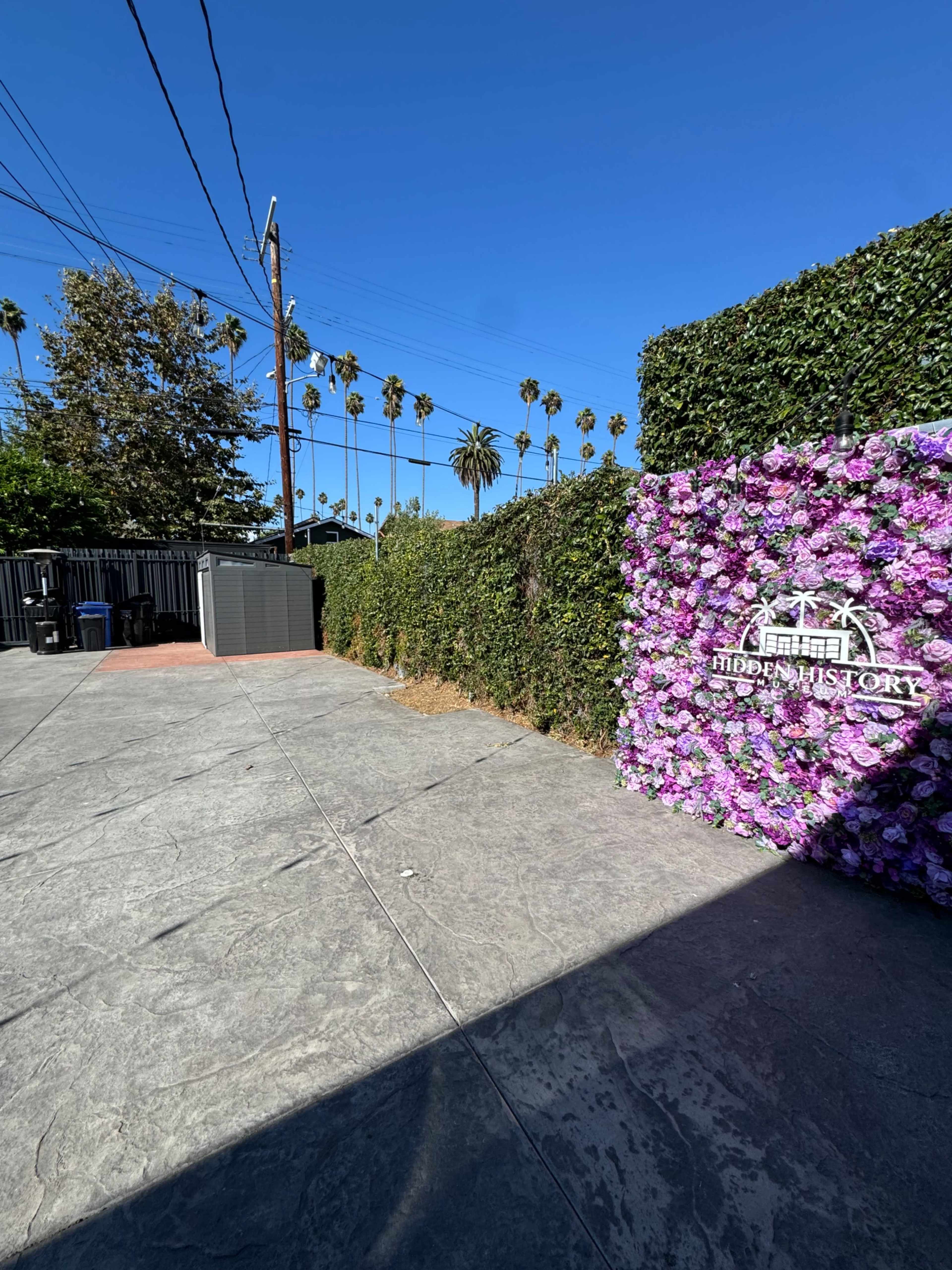 The image shows a pathway leading to a wall covered in purple flowers, with palm trees and a clear blue sky in the background.