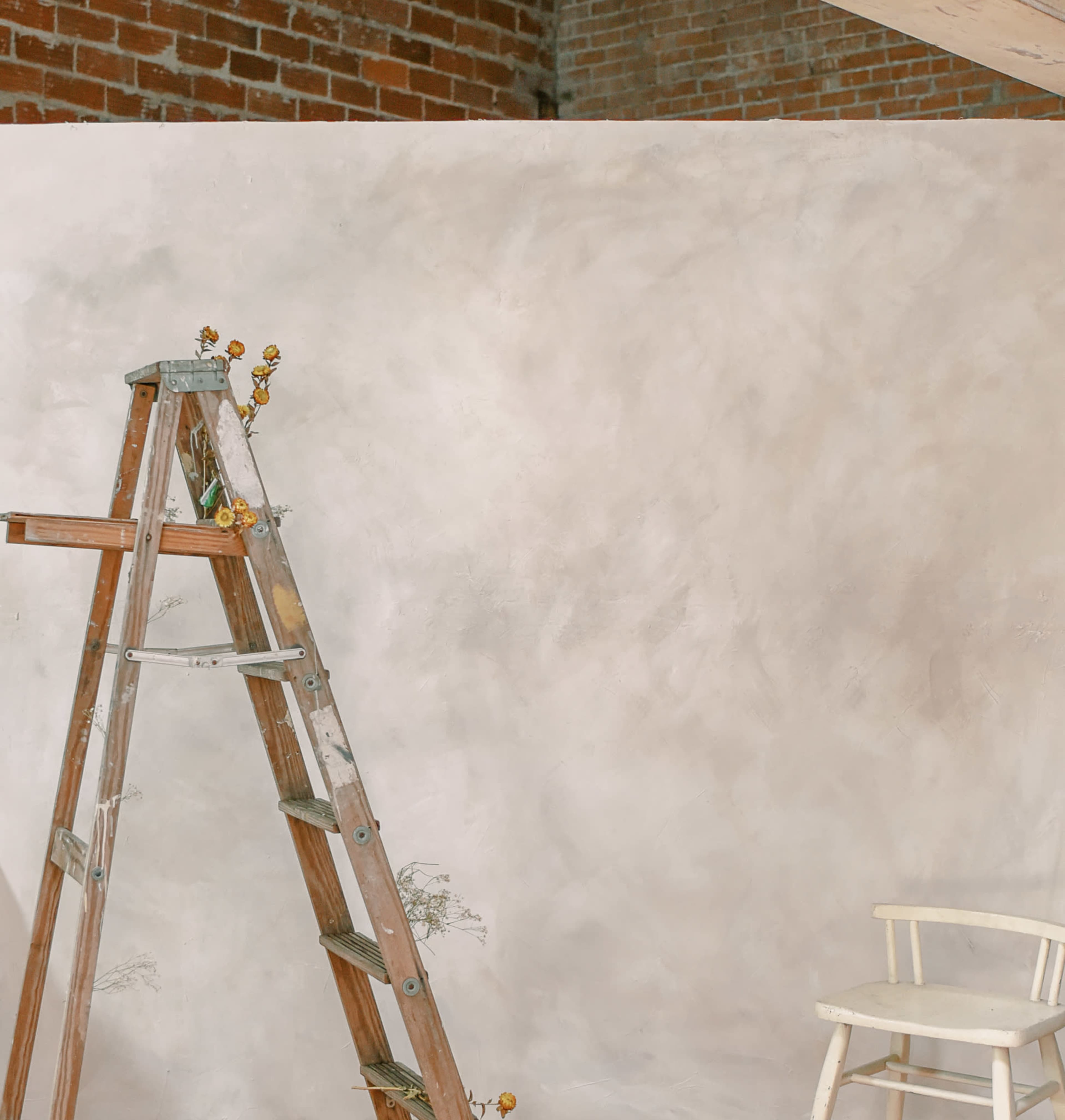 A wooden ladder stands next to a textured, light-colored wall adorned with small plants.