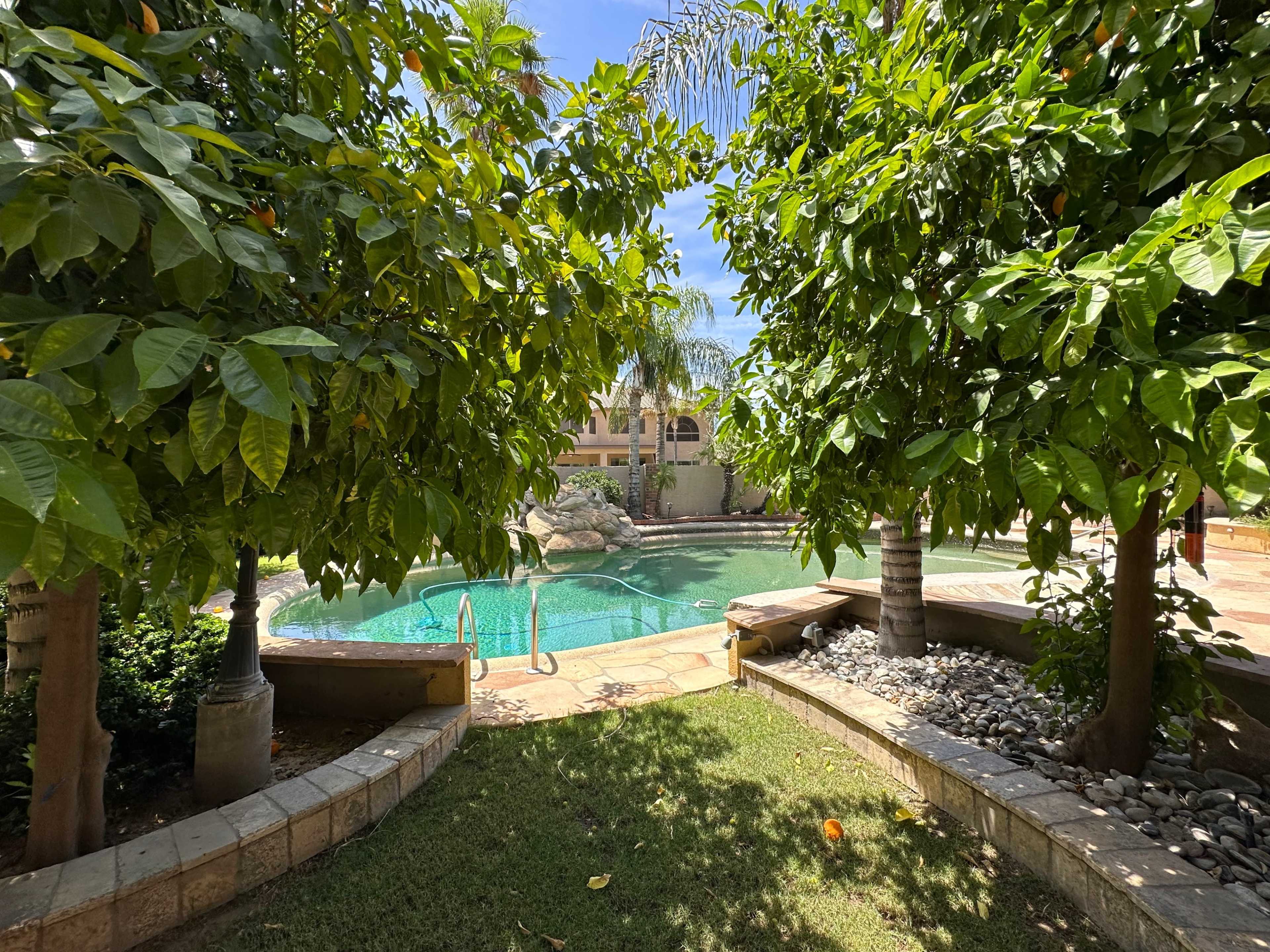 A swimming pool surrounded by lush greenery and stone pathways.