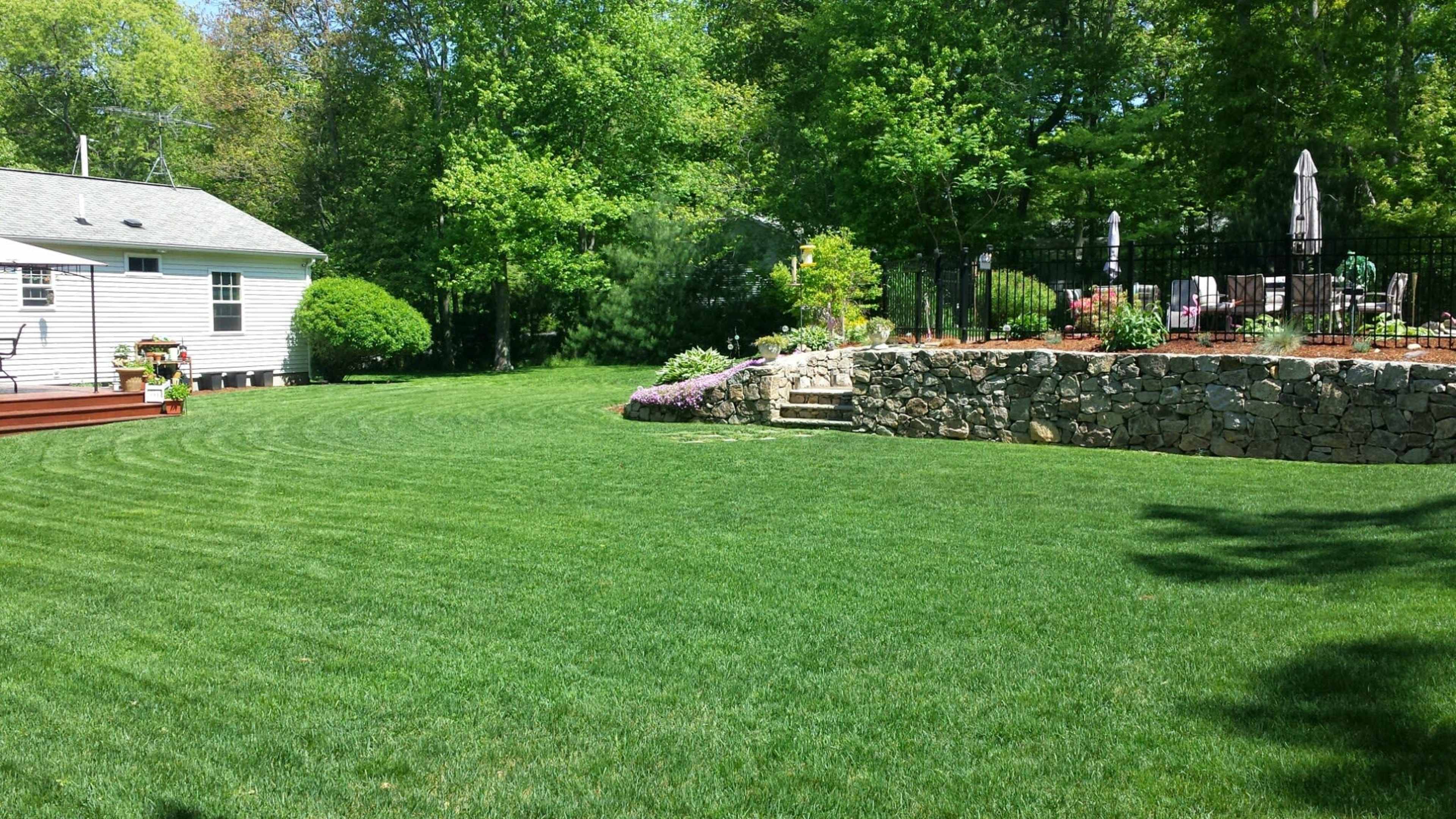 A neatly manicured lawn with a stone wall and landscaped garden beds is surrounded by trees and a house.