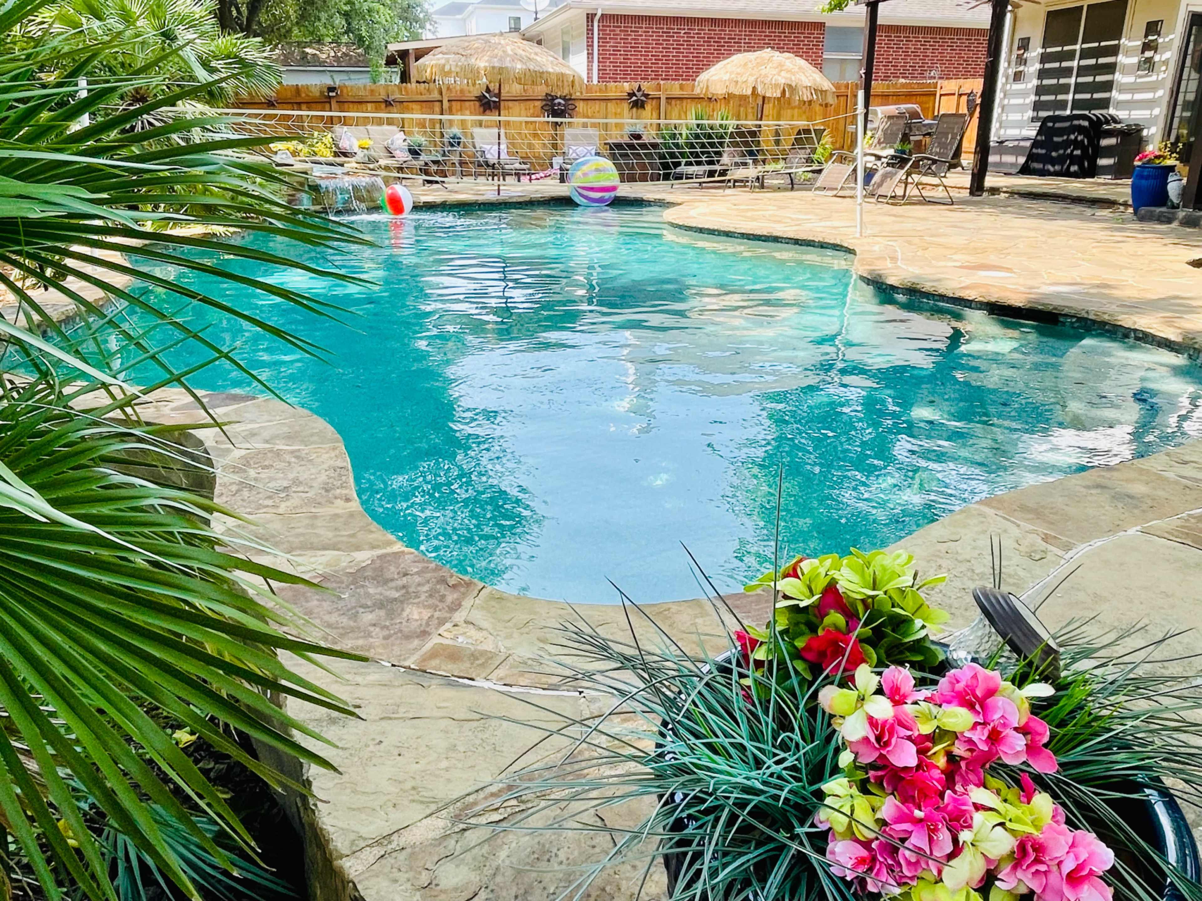 Tropical Oasis-Patio, Pool&Spa🌺 Image in Mountain Creek, Pflugerville, TX