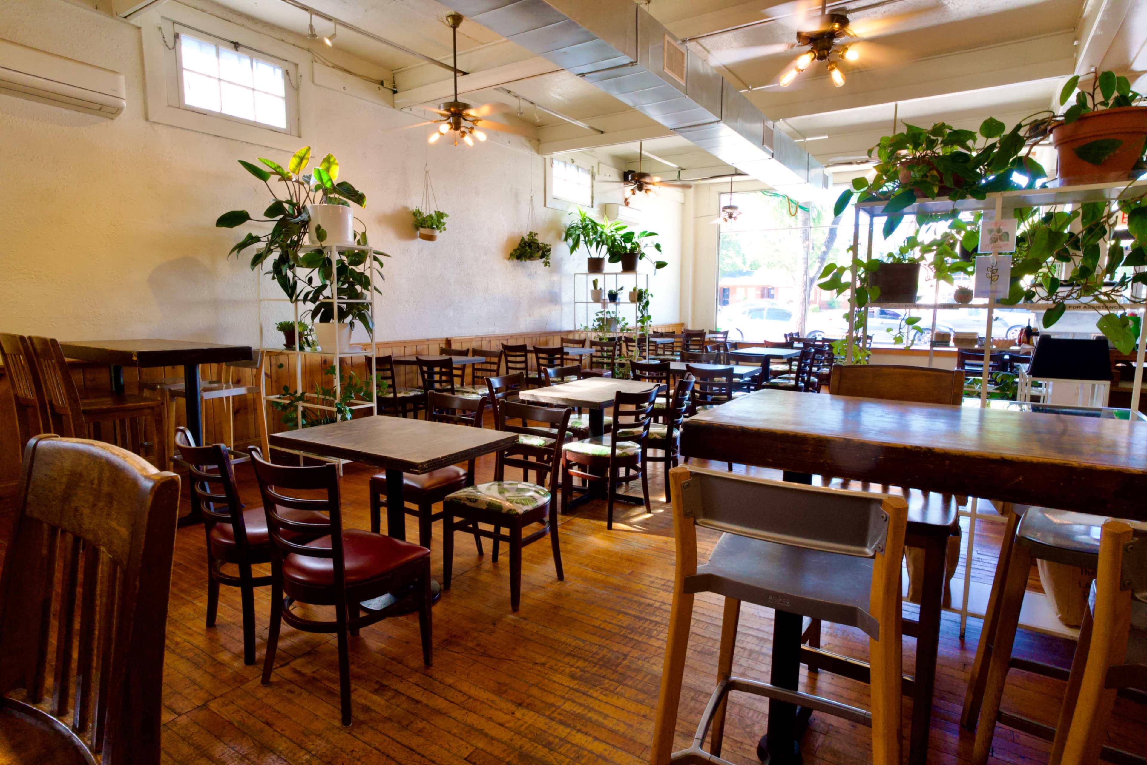 The image shows a cozy cafe interior with wooden tables and chairs, brightened by natural light and adorned with various indoor plants.