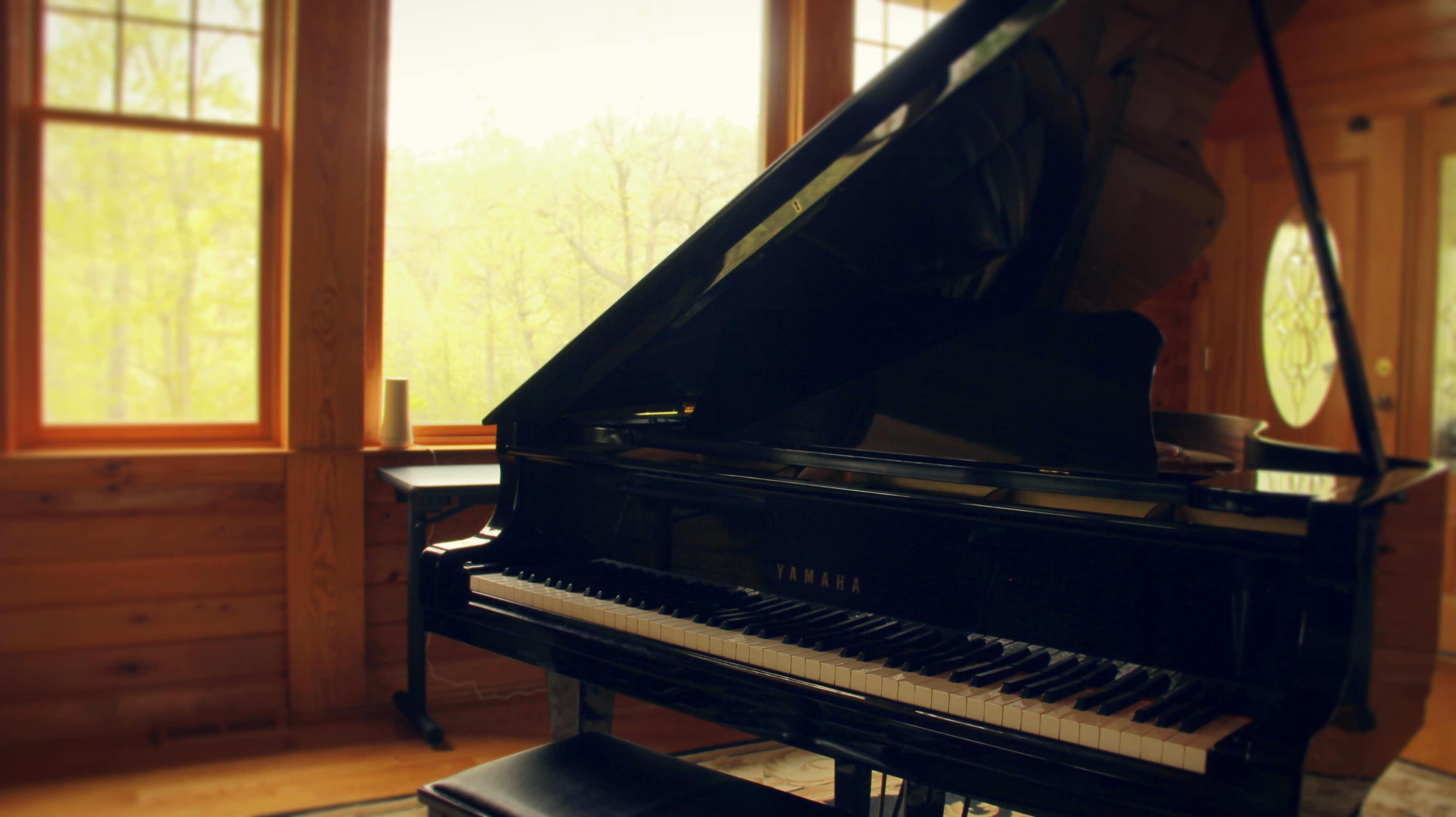 A black Yamaha grand piano sits by a window with wooden walls, overlooking a green landscape.