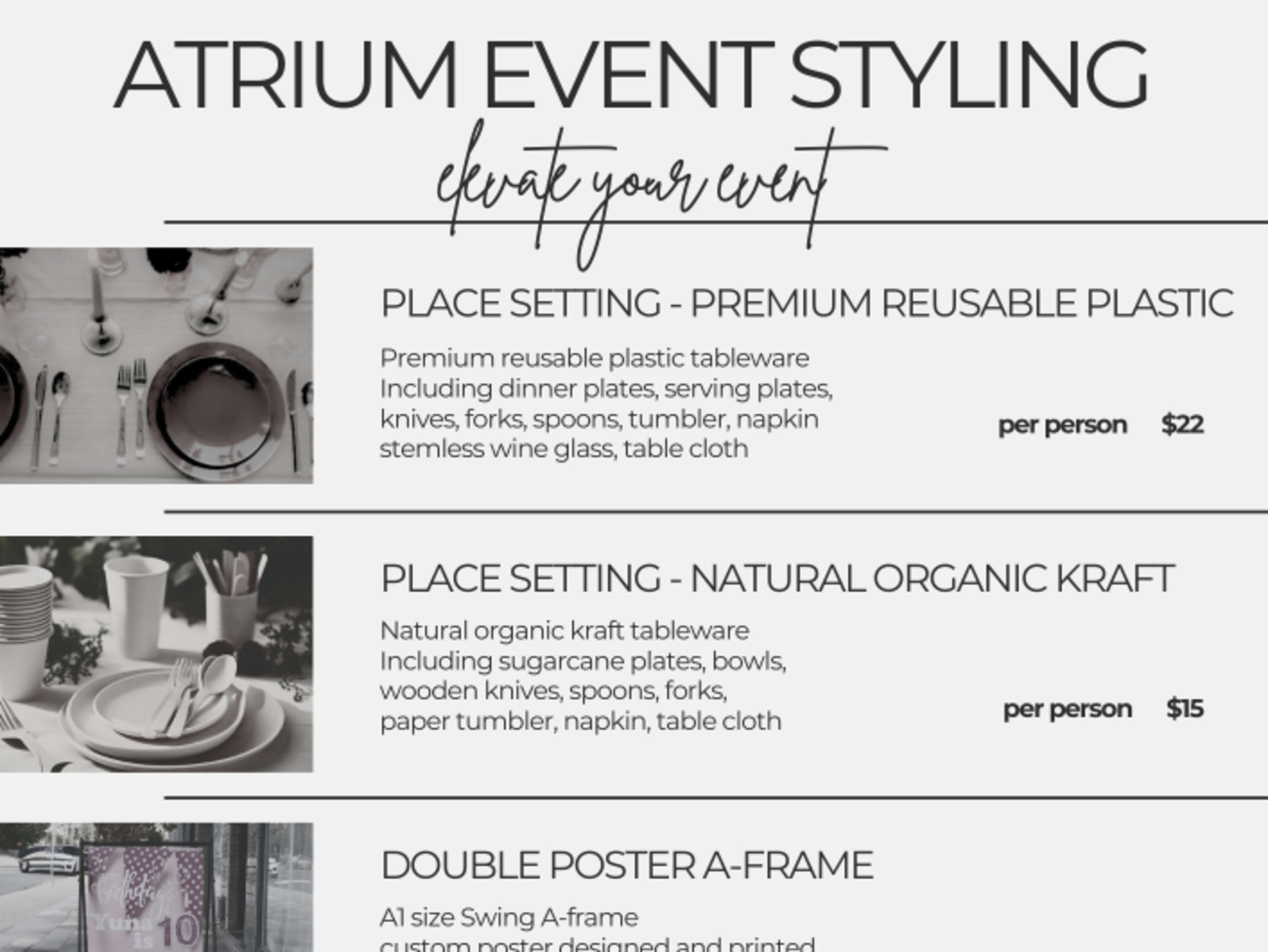 PLACE SETTING - premium reusable plastic