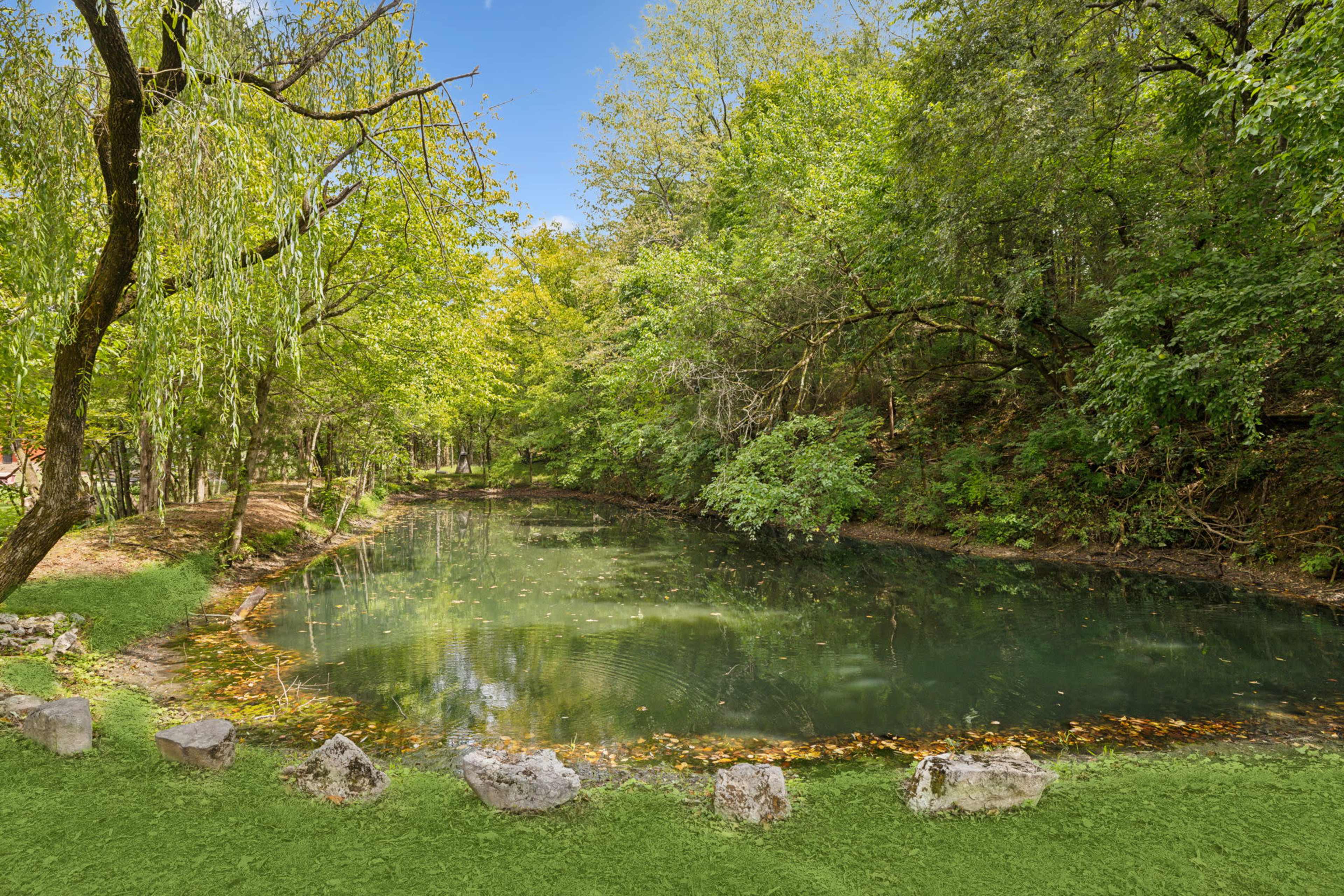 A tranquil pond surrounded by lush greenery and trees reflects the clear blue sky.