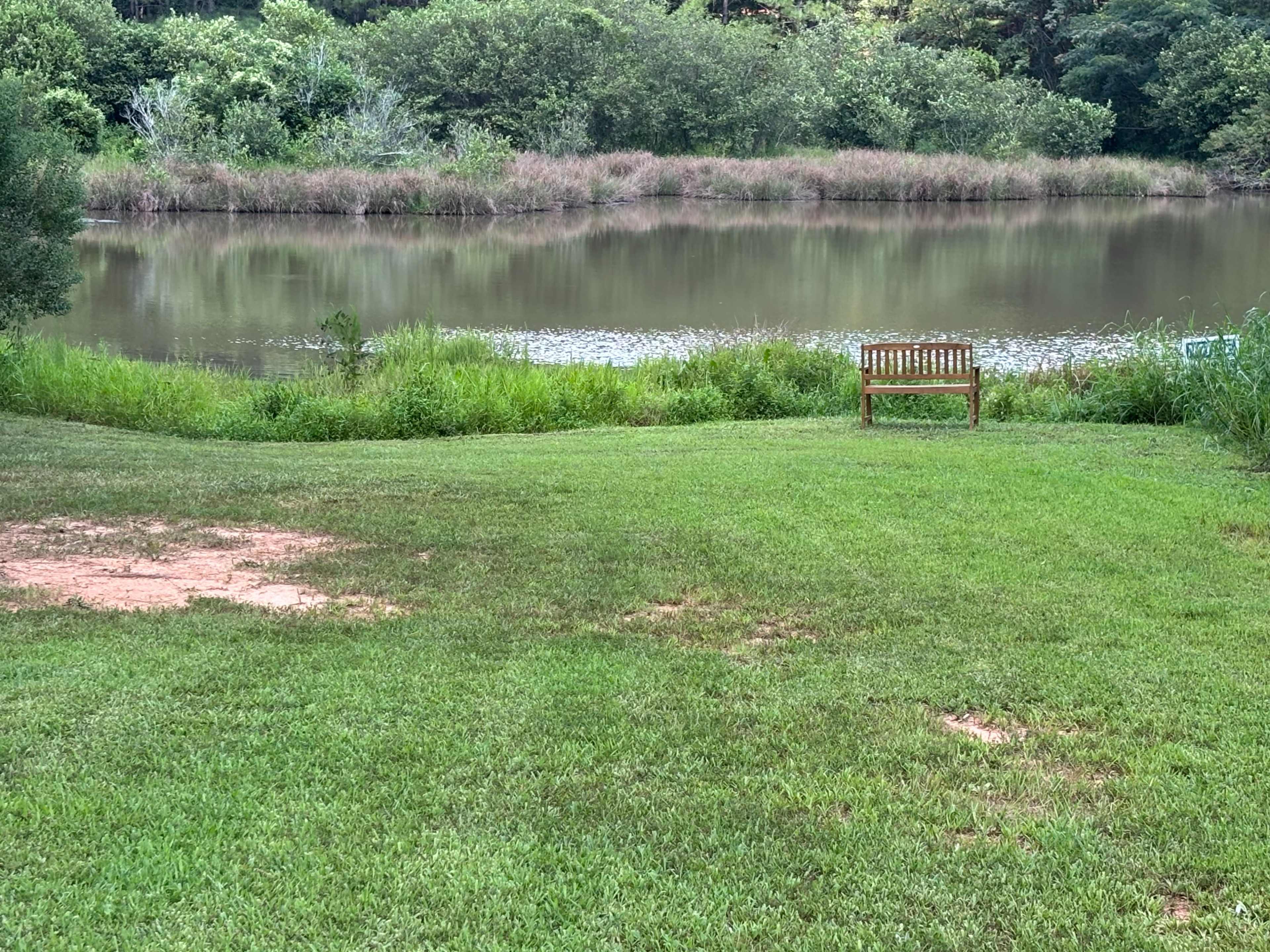 The image shows a grassy area with a wooden bench facing a calm pond surrounded by greenery.