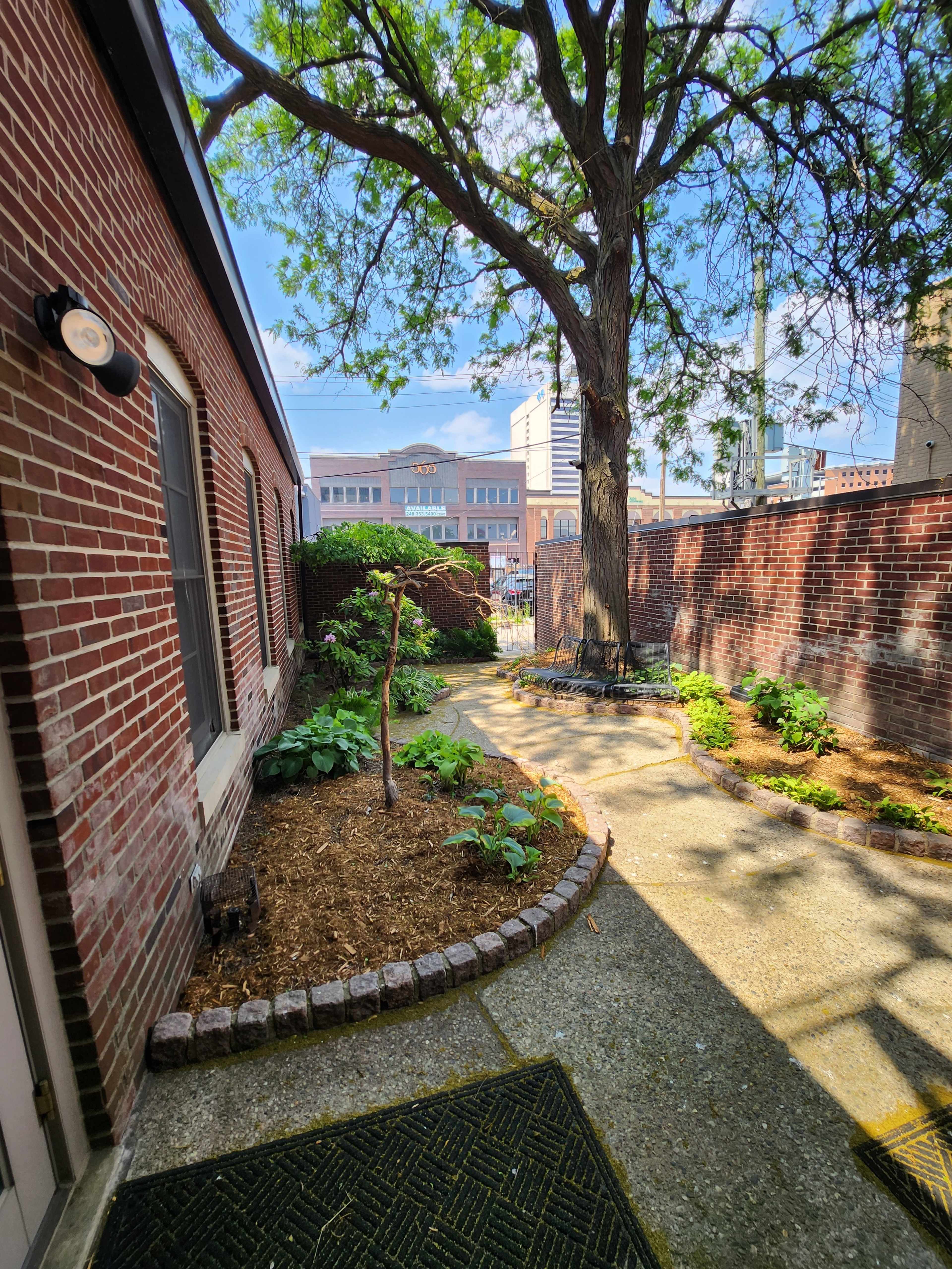 A brick pathway lined with plants leads to a tree in a courtyard bordered by brick walls, with buildings visible in the background.