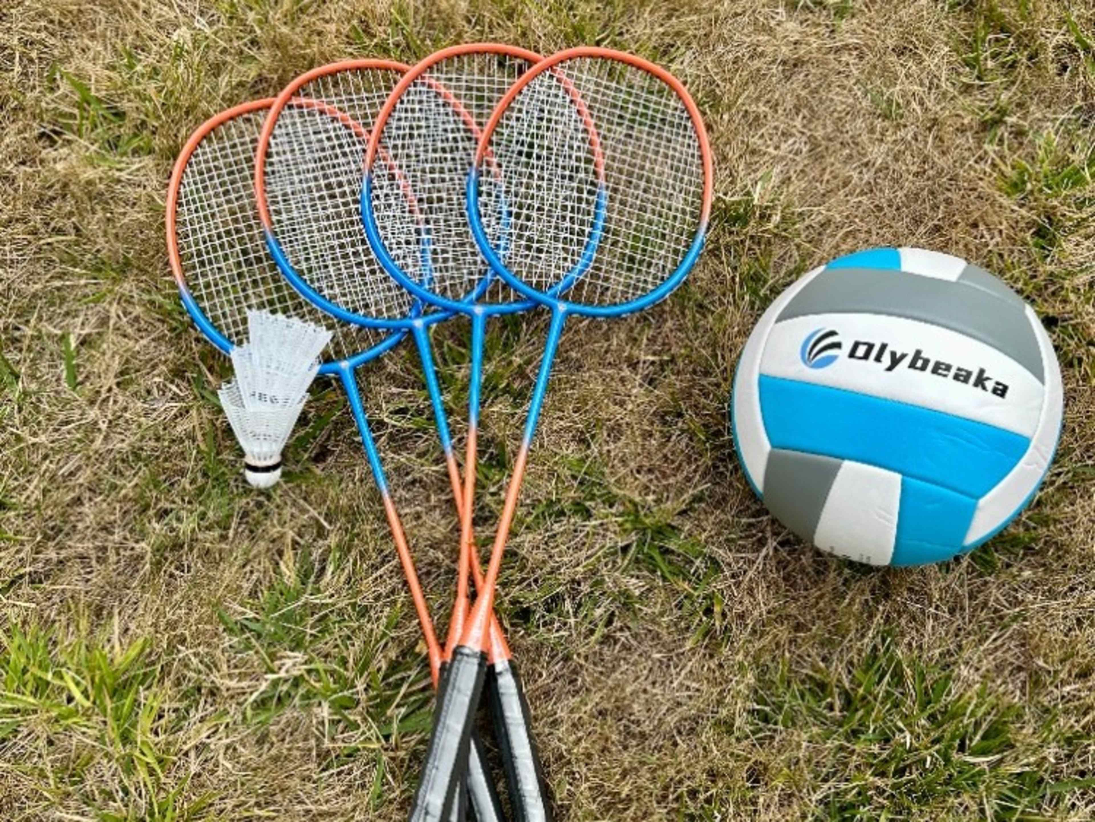 Badminton/Volleyball