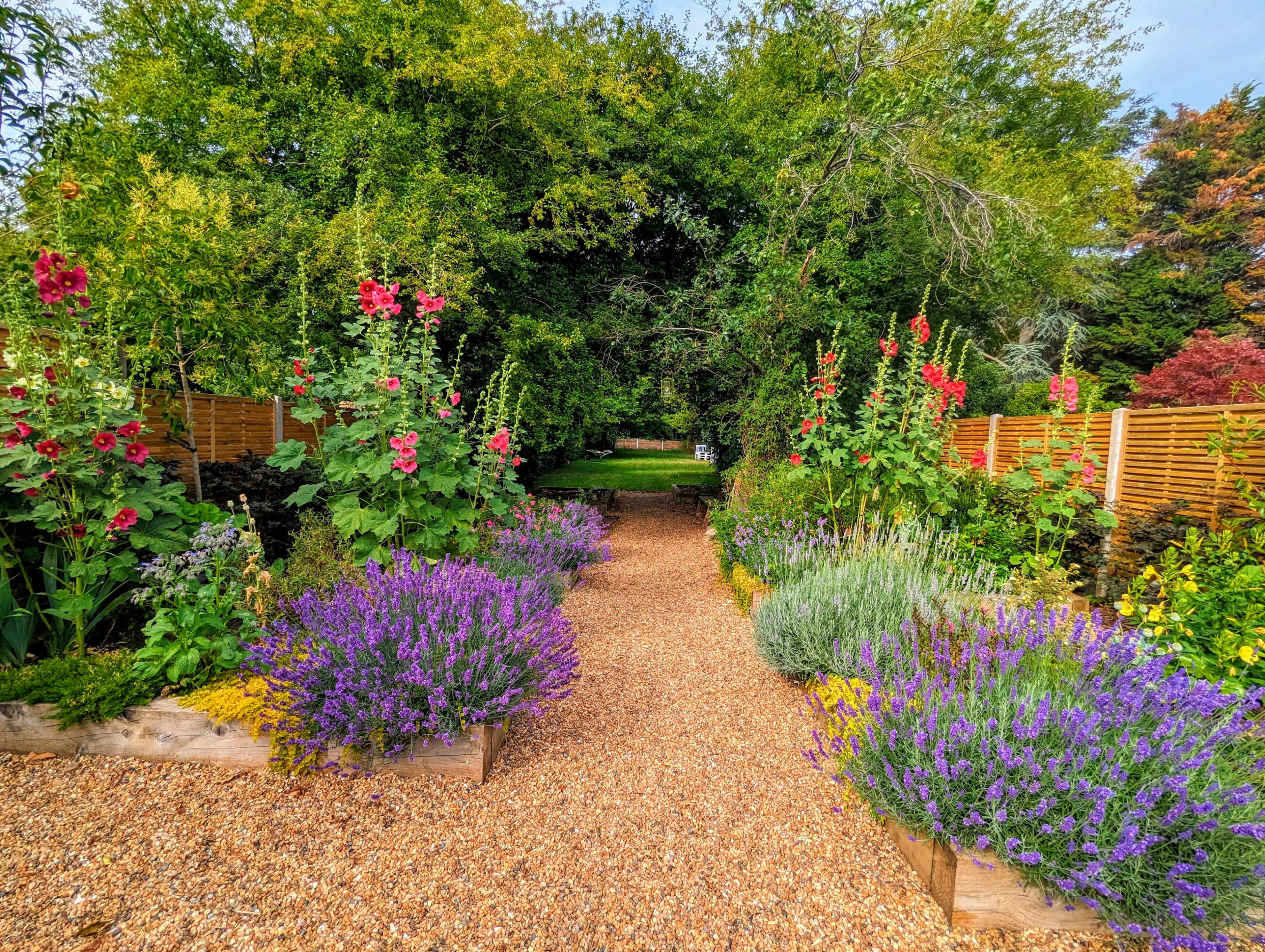 A gravel path lined with vibrant flowers and lavender leads through a lush garden framed by trees and wooden fencing.