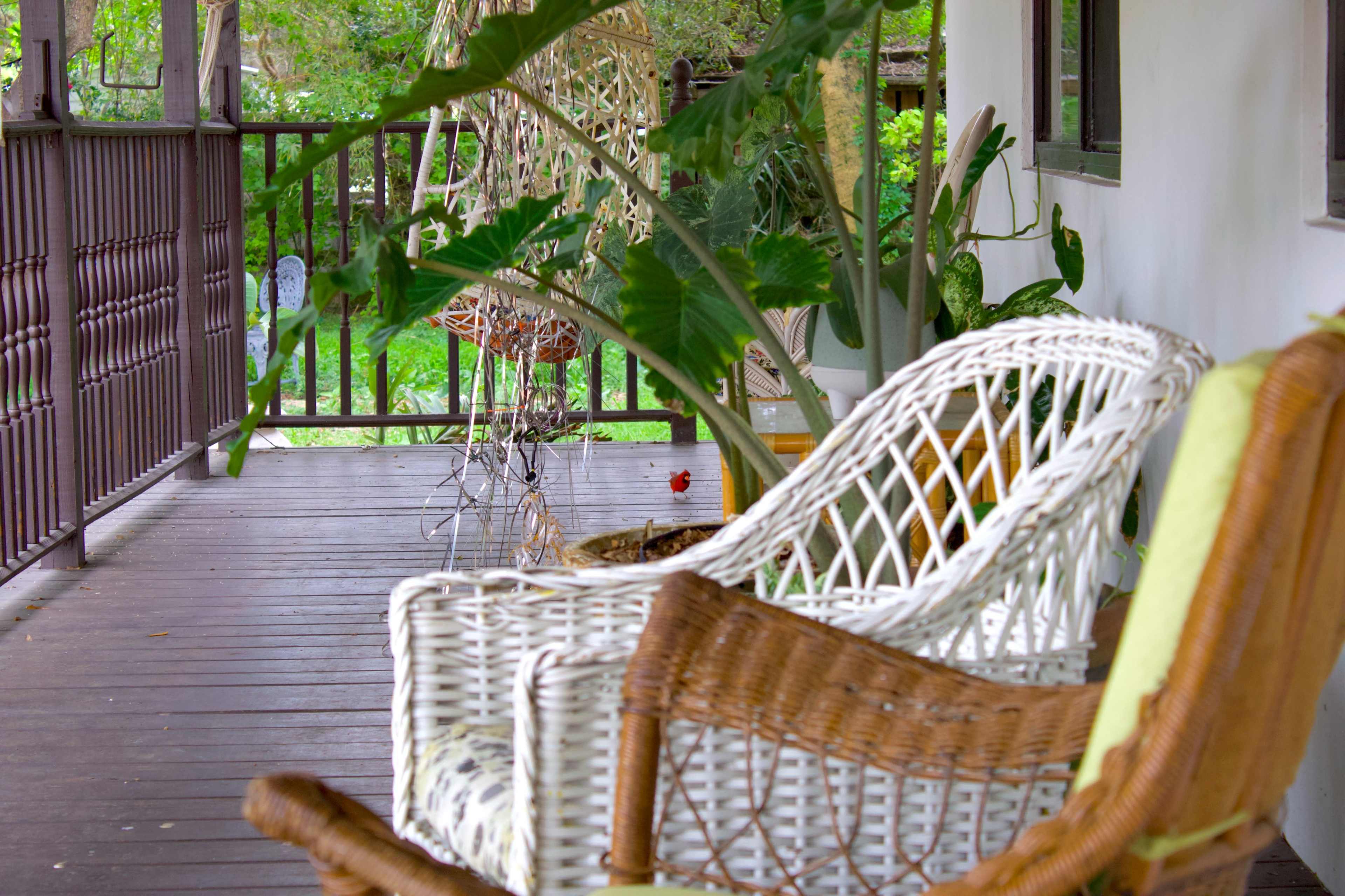 A porch features wicker chairs and potted plants amidst a lush green background.