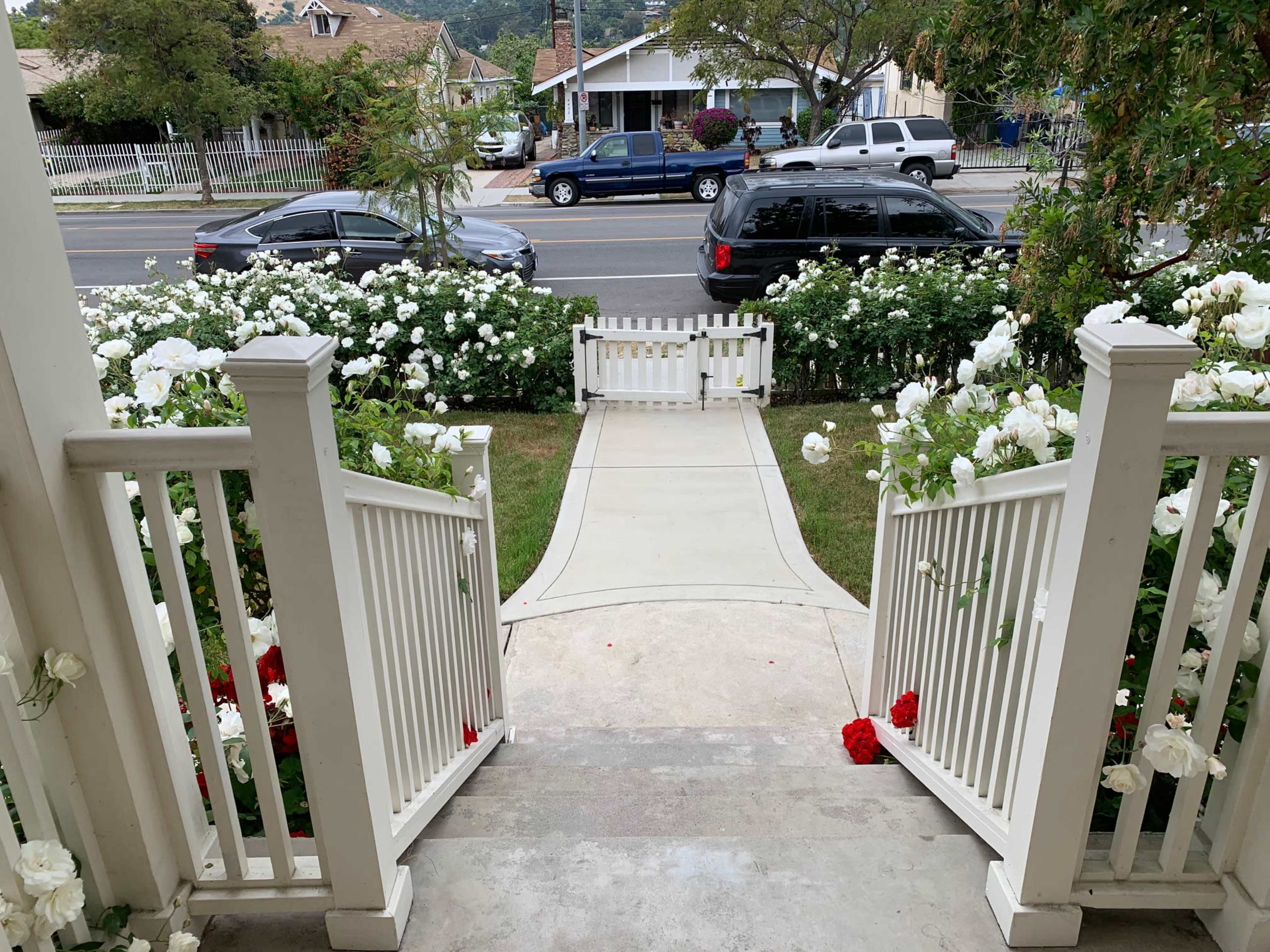 A paved walkway leads from a white porch through a garden of blooming roses to a street lined with houses.