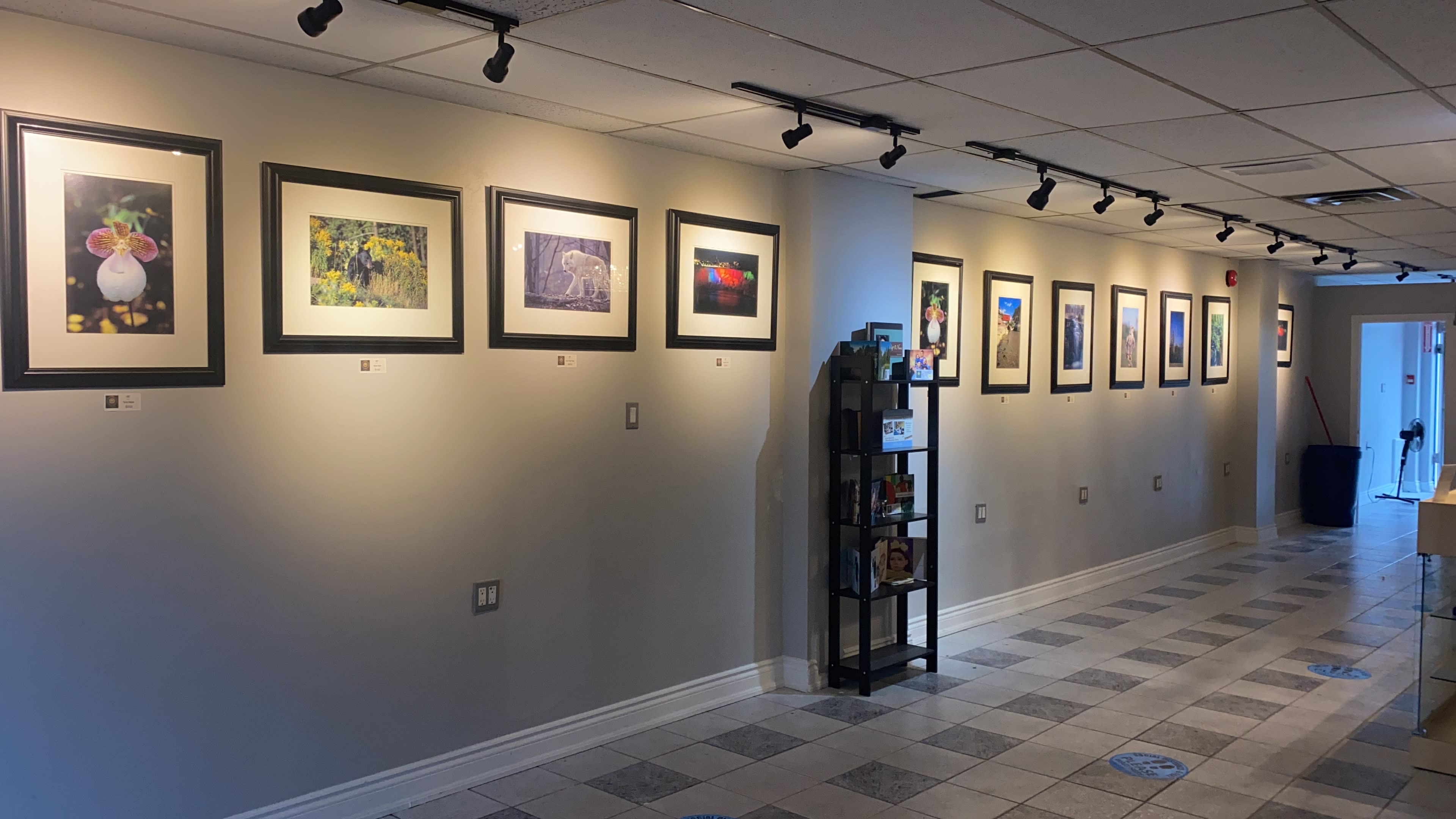 A gallery corridor featuring a row of framed artworks displayed on the wall, accompanied by a black shelving unit on the right.