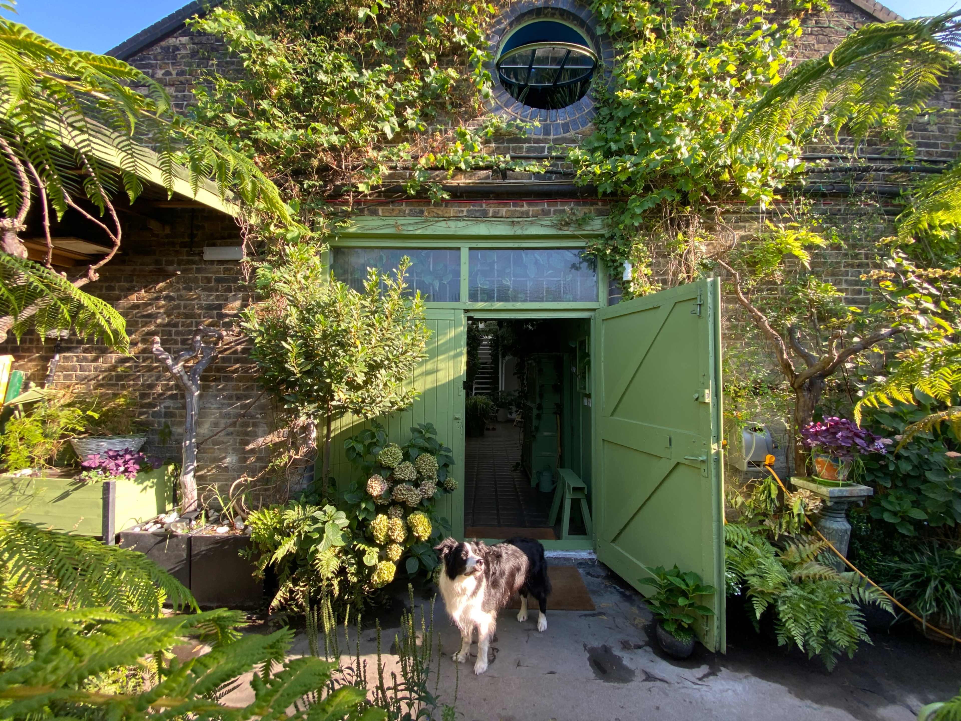 A large green door stands open on a brick building covered in ivy, with a dog in the foreground and various plants surrounding the entrance.