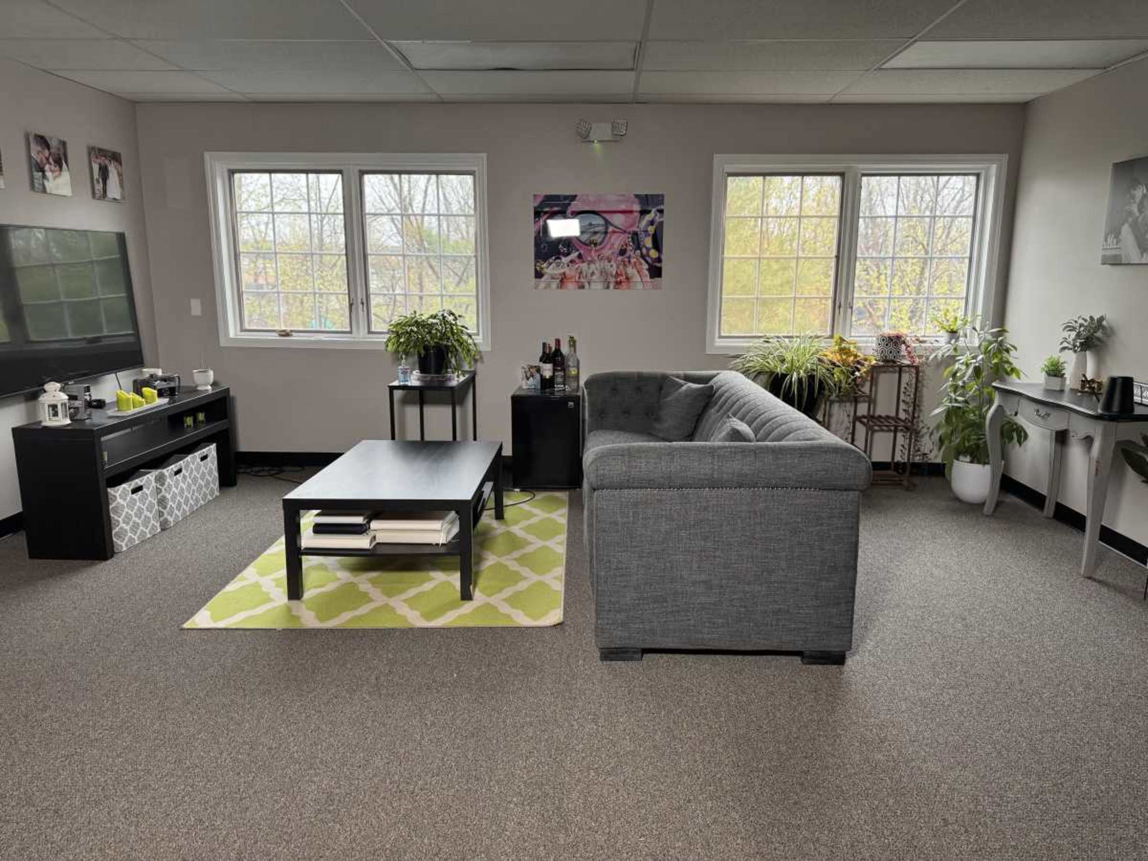 The image shows a modern, well-lit office space featuring a gray couch, a coffee table on a green-patterned rug, plants by the windows, and a television unit against one wall.