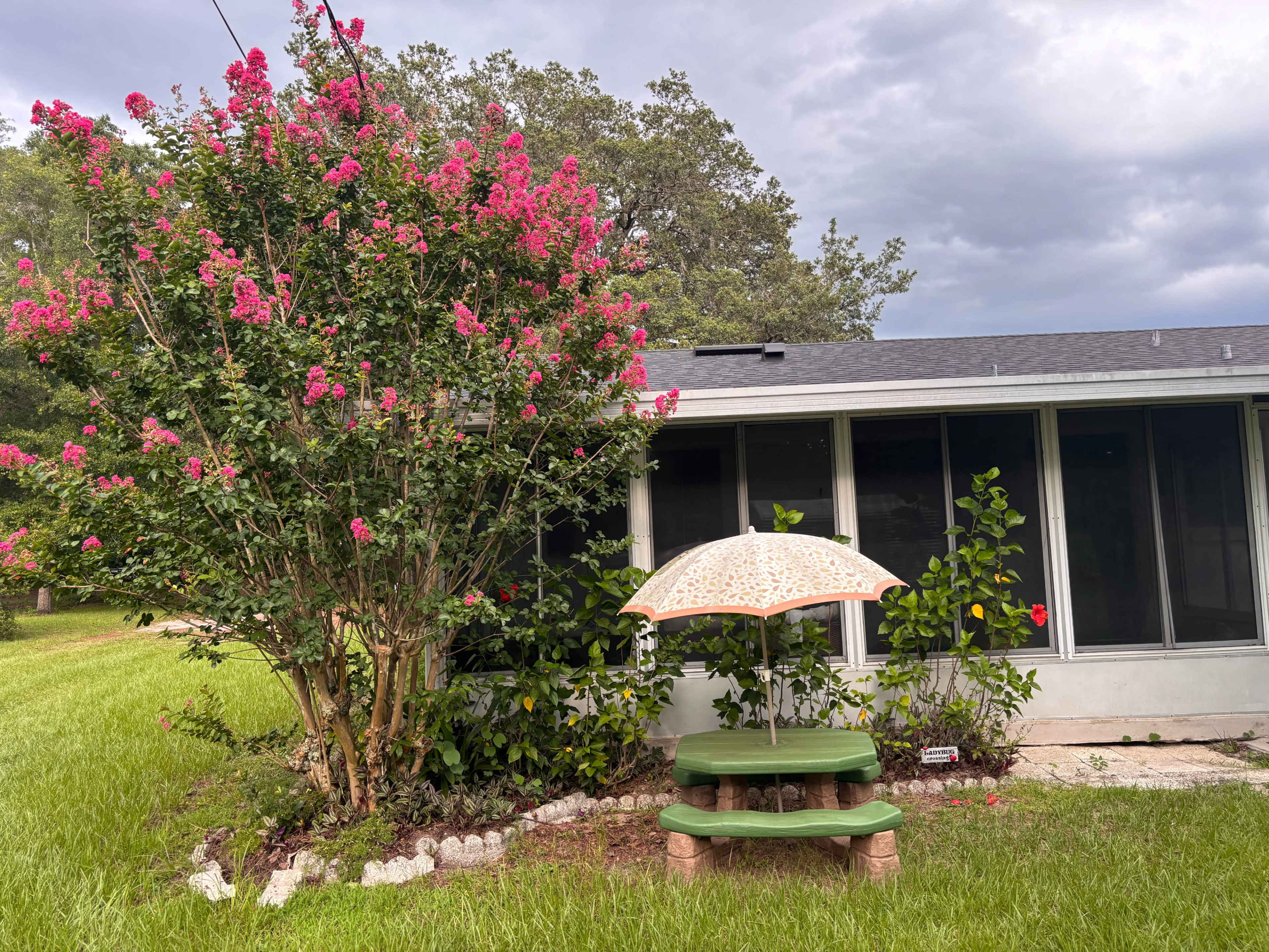 Versatile Outdoor Acres in Apopka – Where Parties and Memories Bloom Image in Apopka, Apopka, FL
