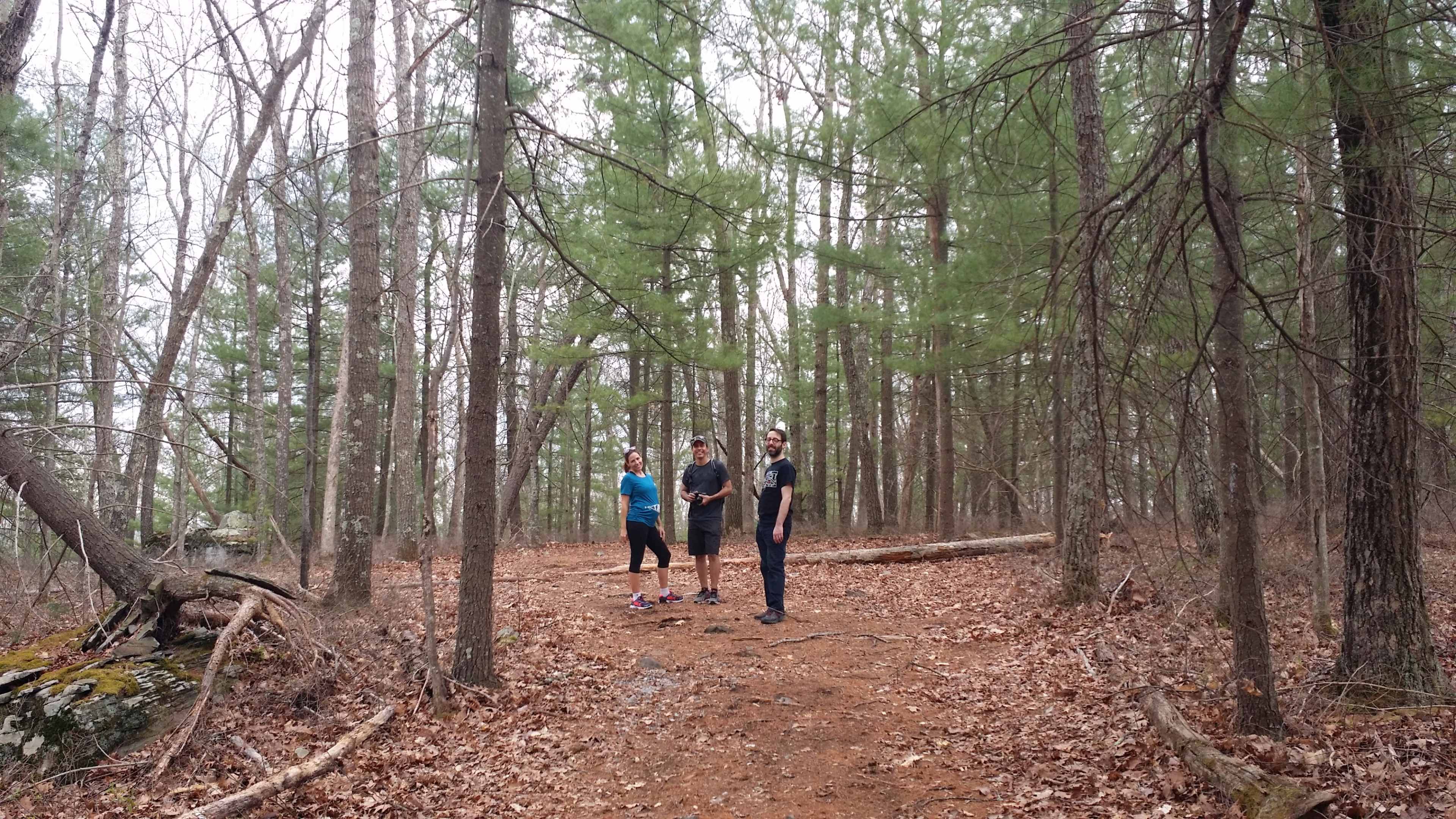 Three individuals stand on a dirt path surrounded by tall trees in a forest.
