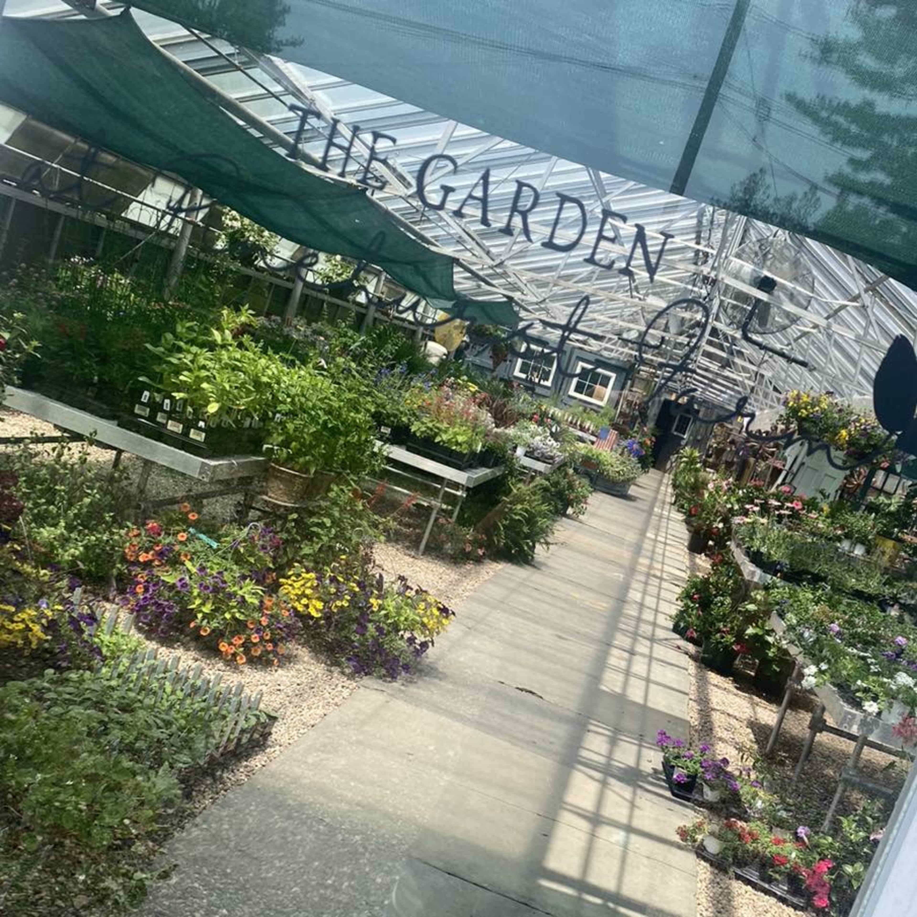 The image shows a greenhouse filled with various plants and flowers, with a central pathway leading through the vibrant displays.